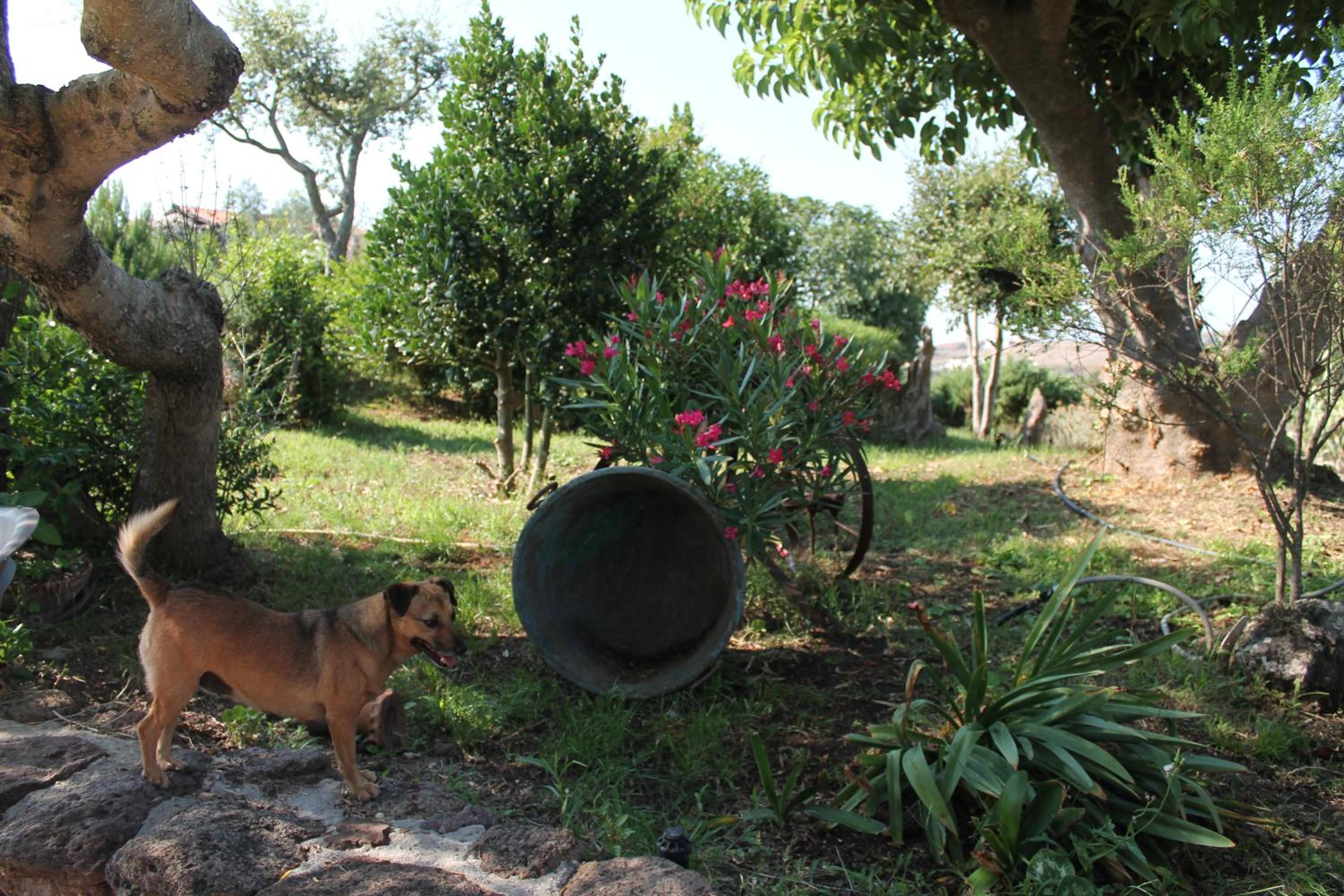 Agriturismo Su Recreu