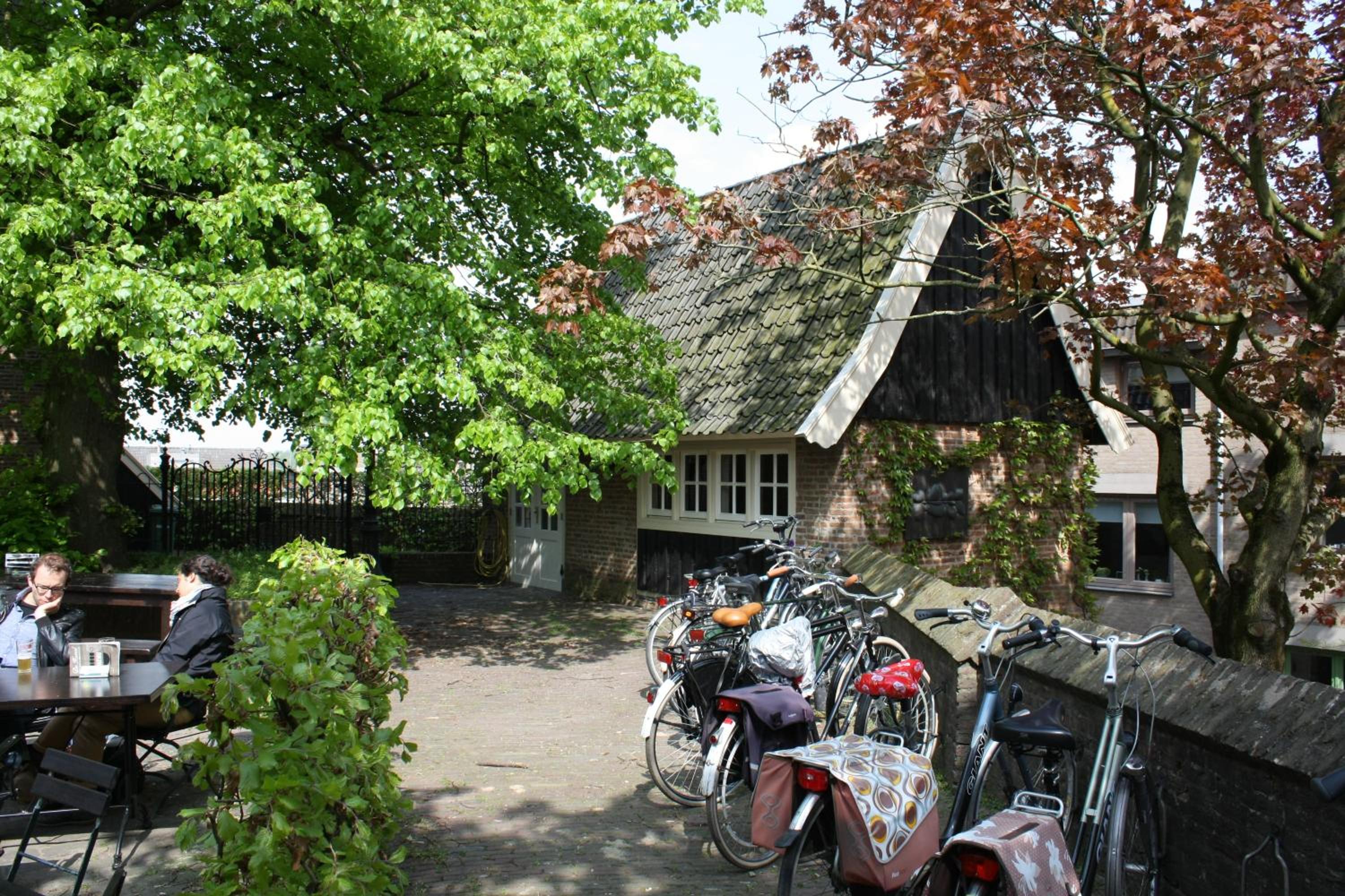 Photo 41