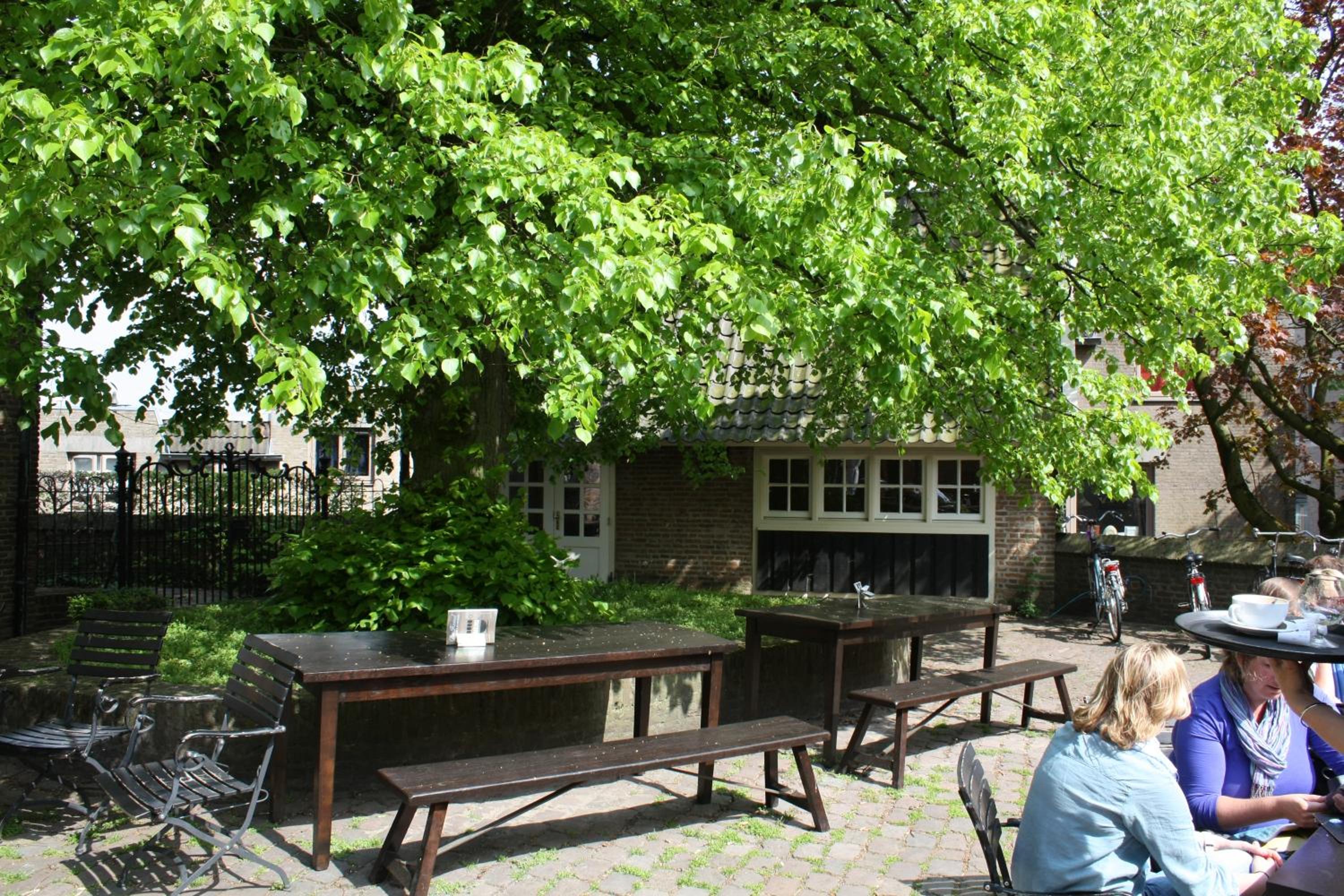 Photo 43
