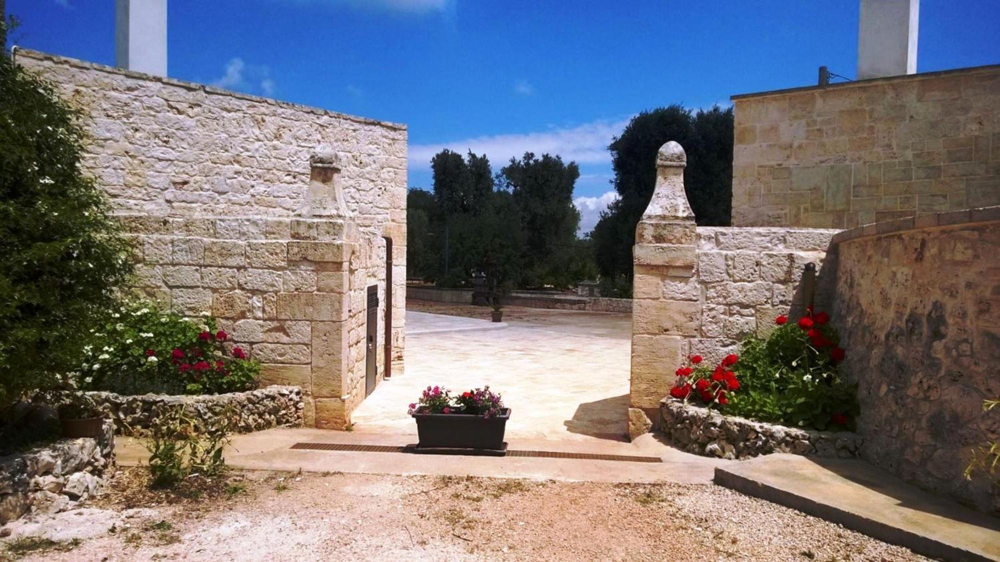Photo 26
