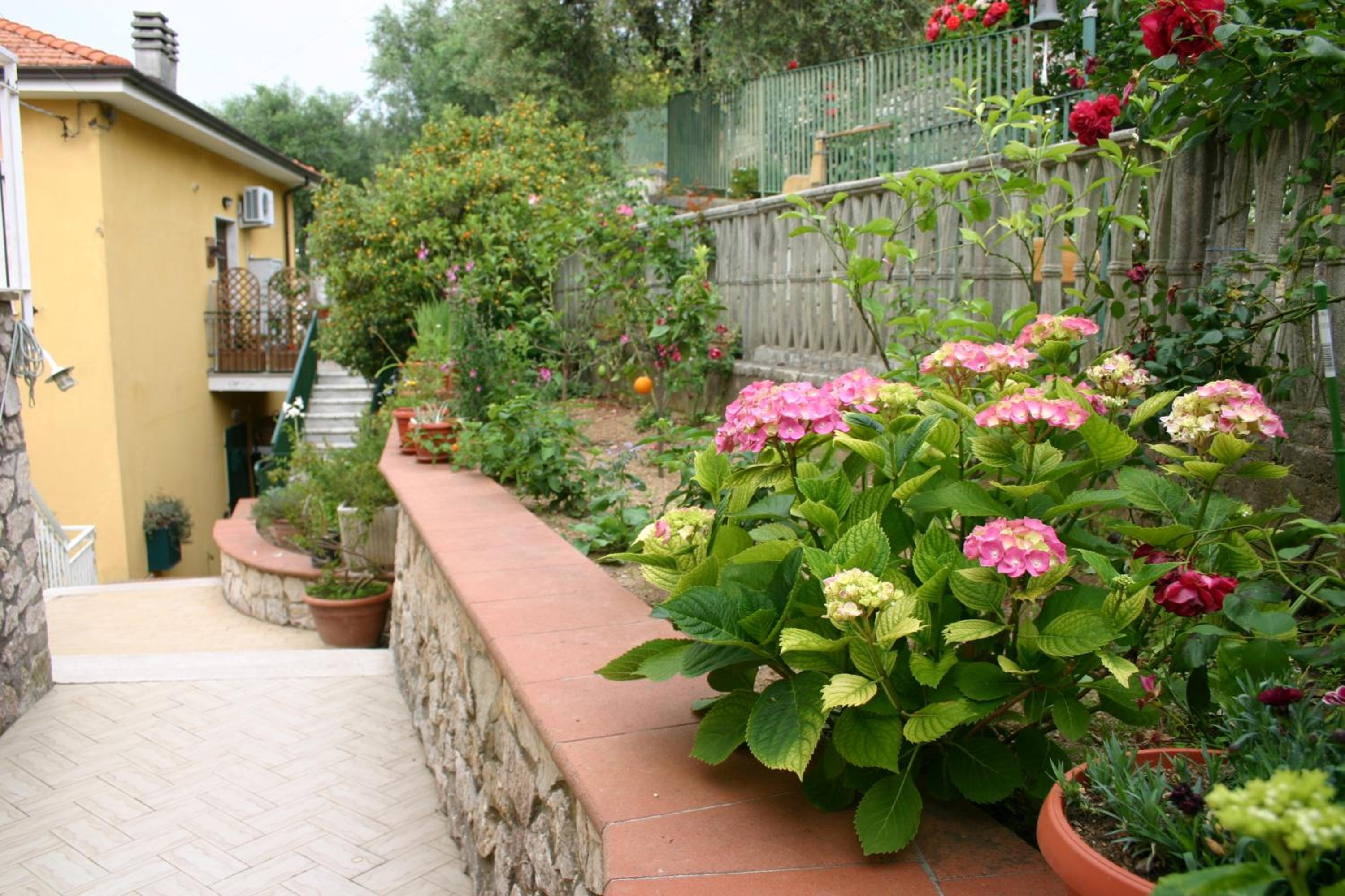 Photo 8