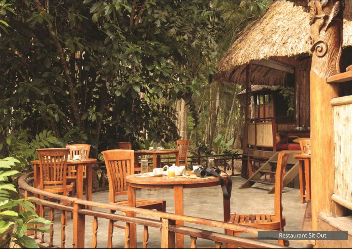 The Barefoot At Havelock