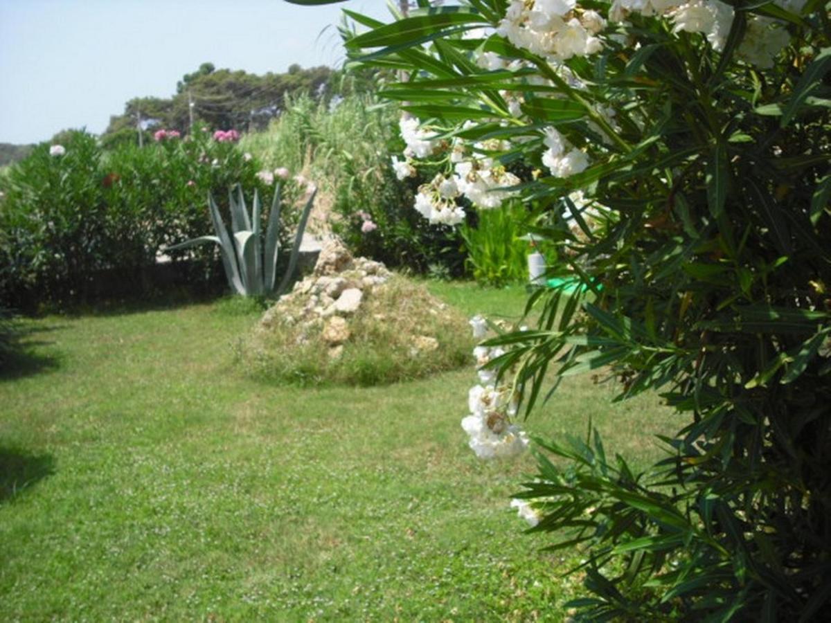 Photo 34