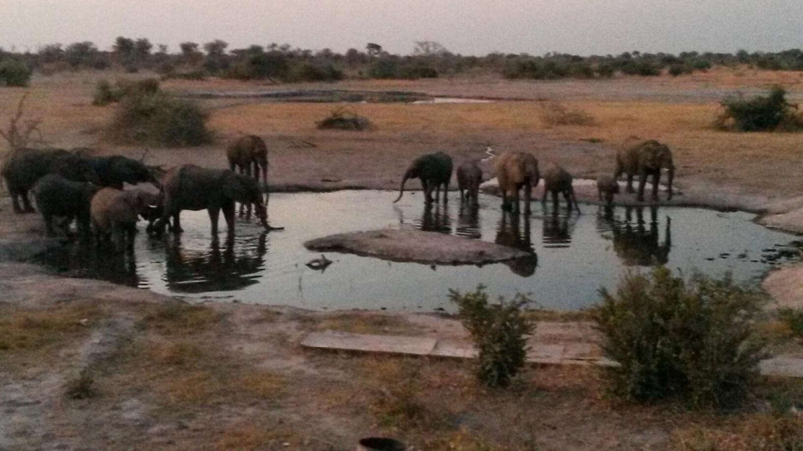 Thobolo's Bush Lodge