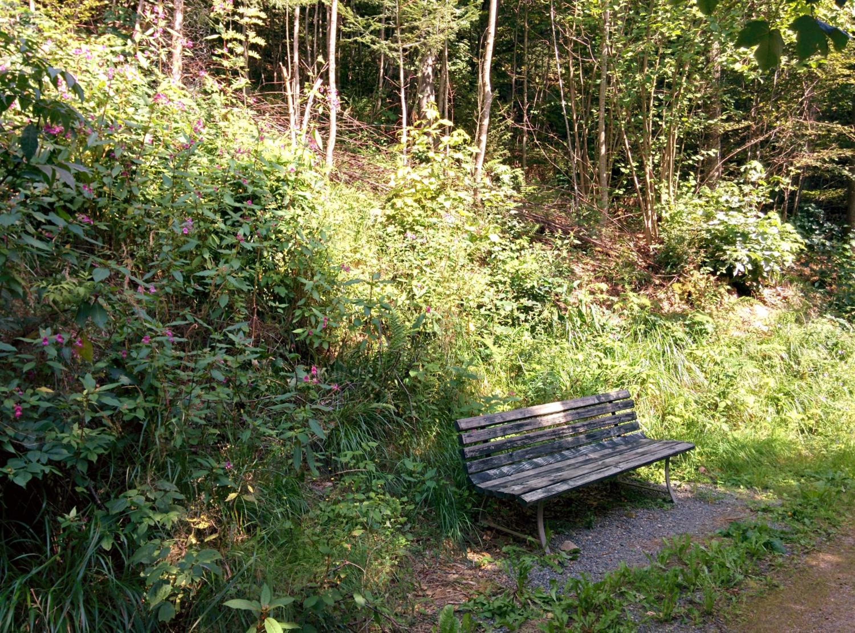 Photo 7