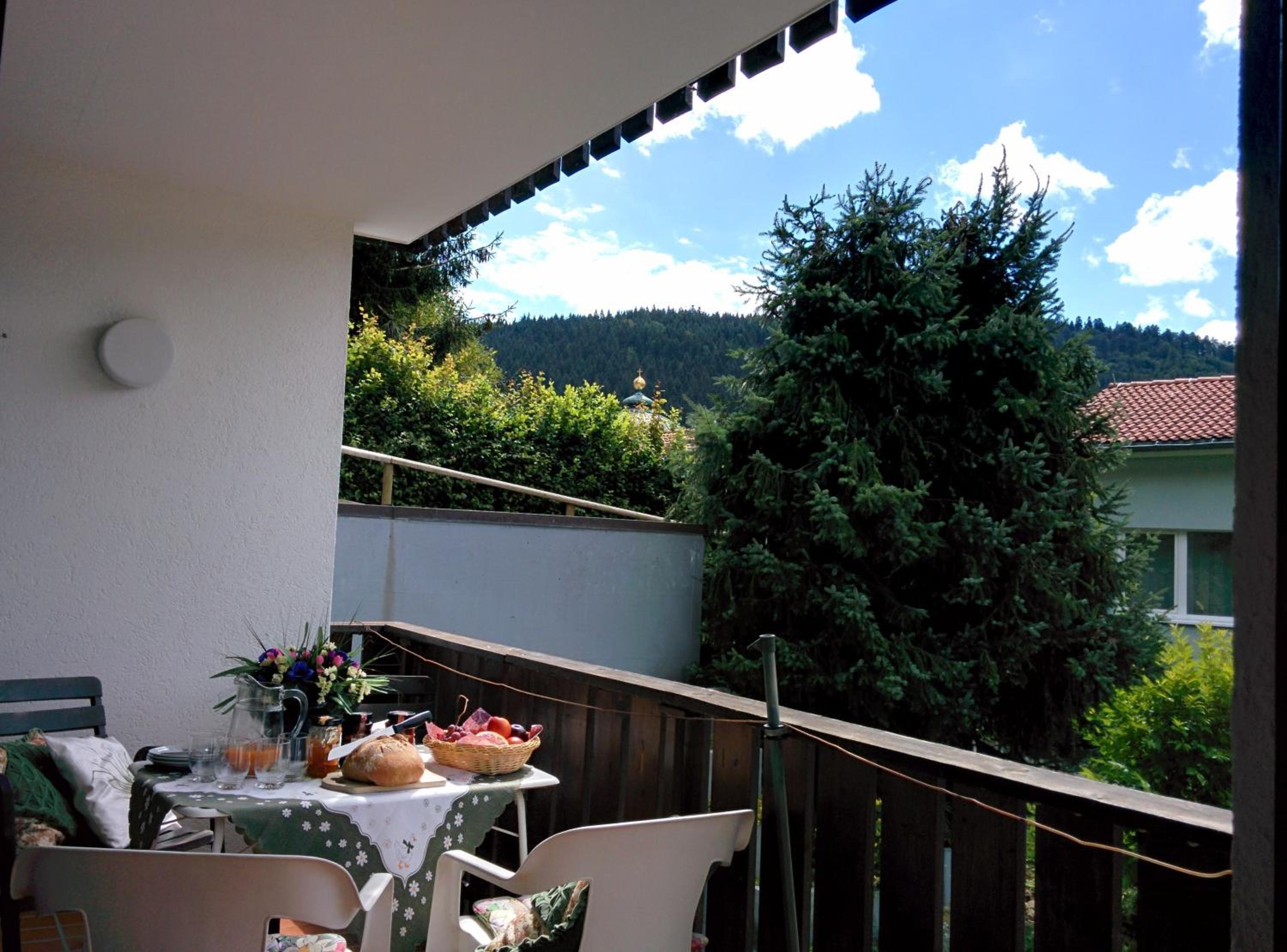 Gib mir funf! Ferienwohnung in St. Blasien view 5