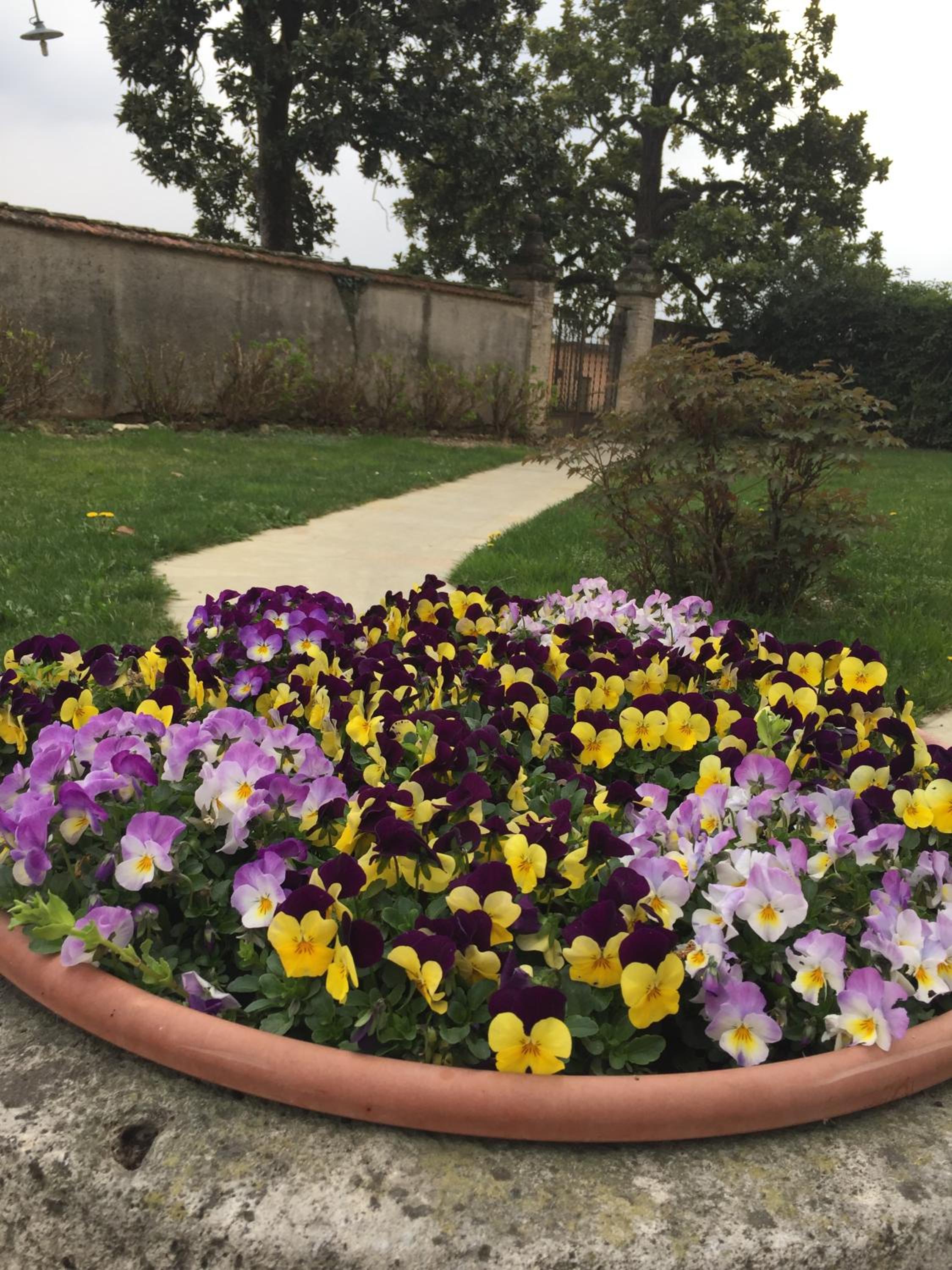 Agriturismo Villa Panigai