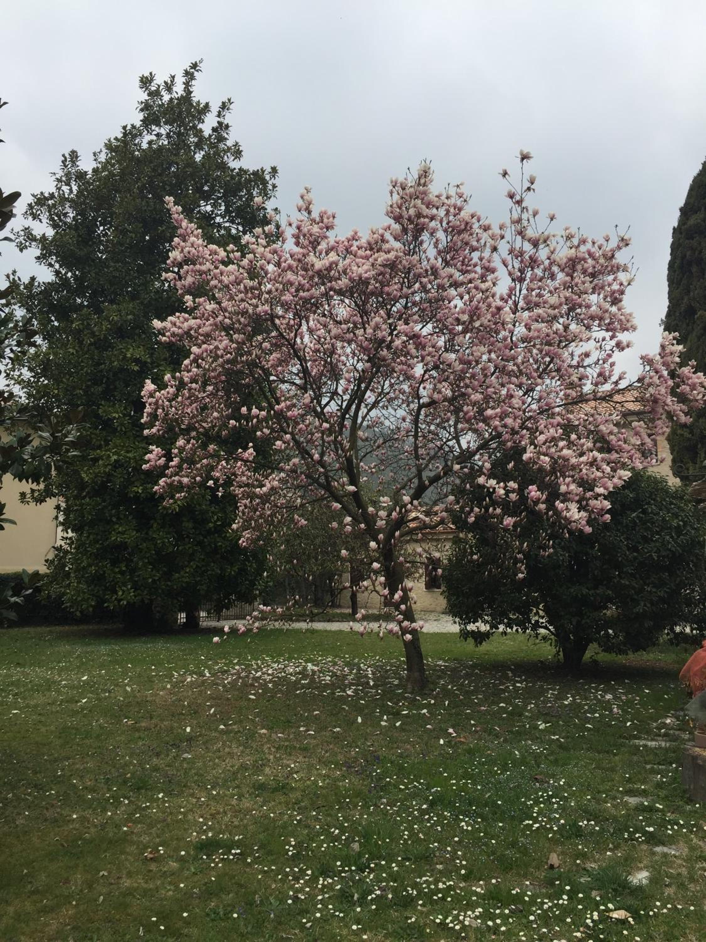 Agriturismo Villa Panigai