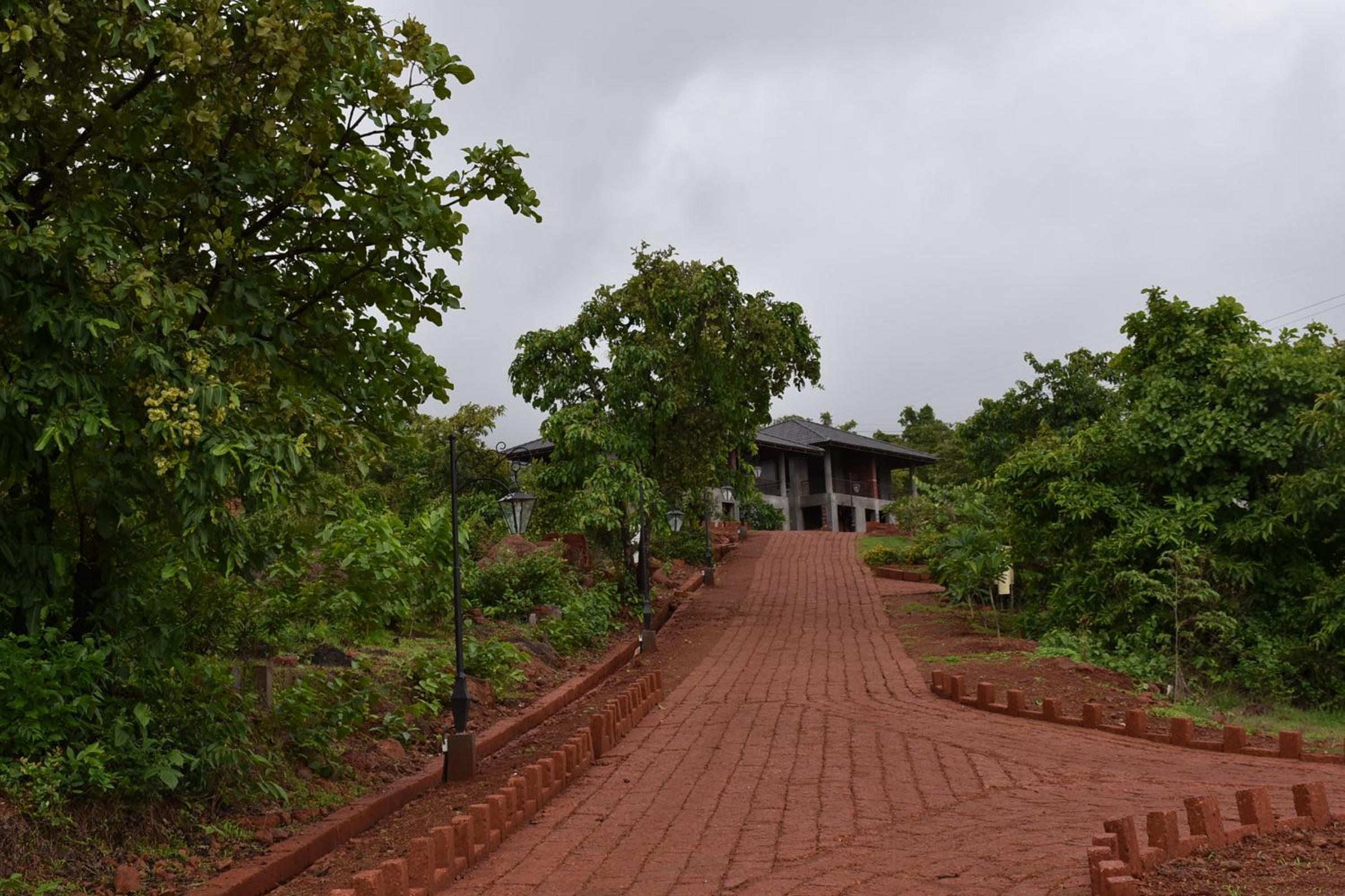 Forest Escapes Koyna