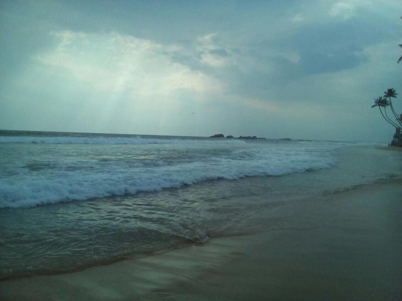 Photo 48