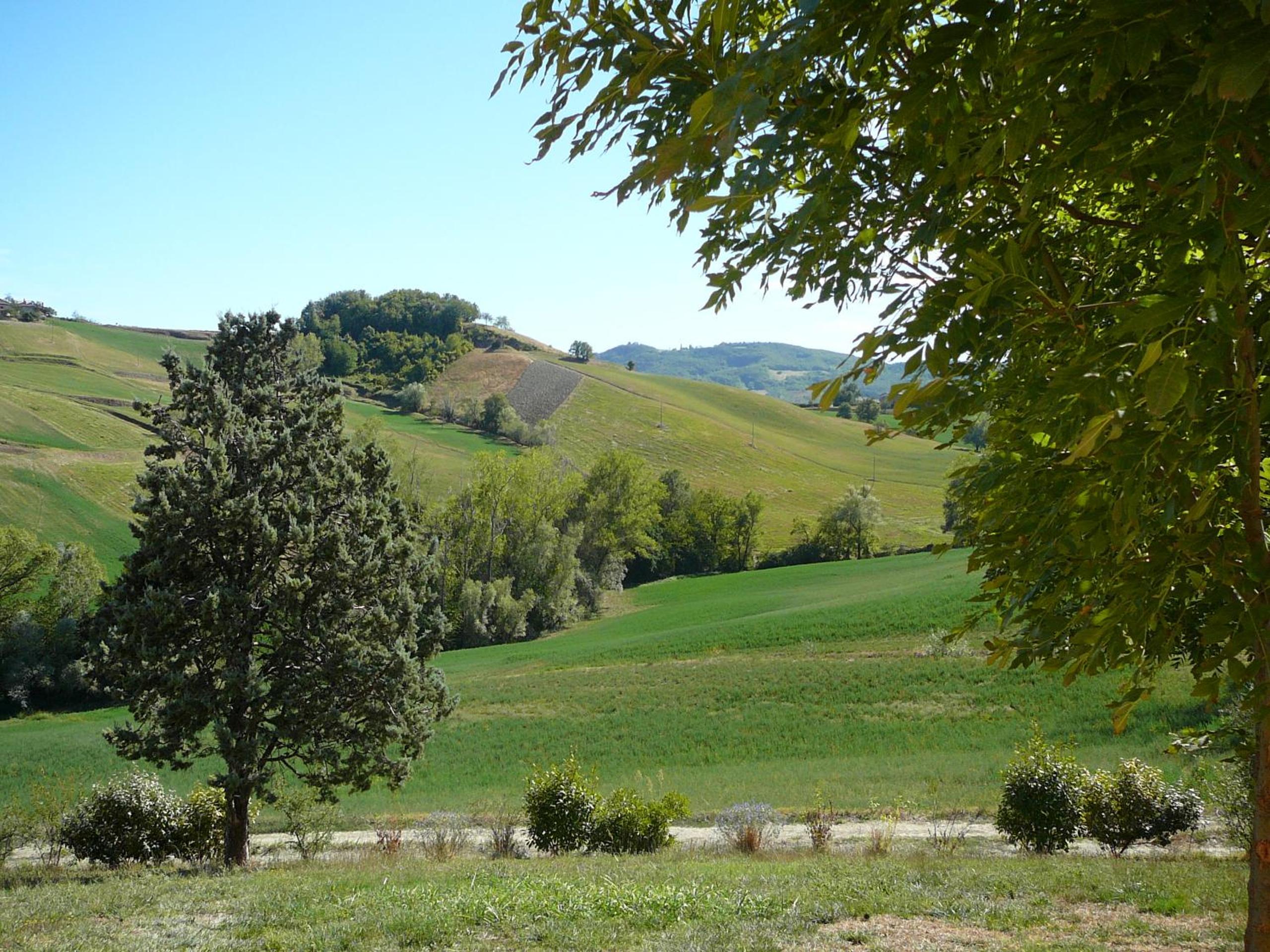 Photo 28