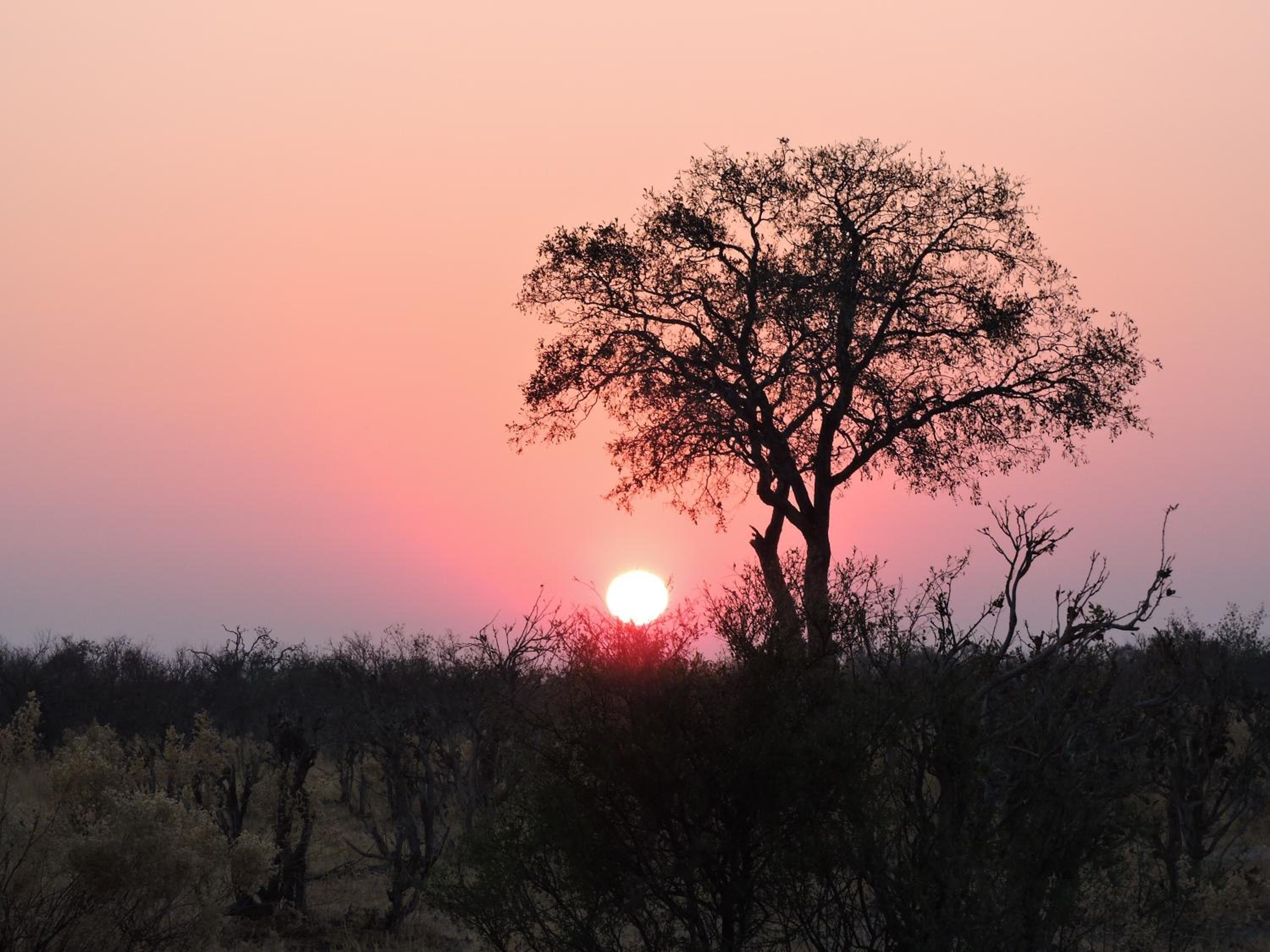 Elephant Trail Guesthouse and Backpackers