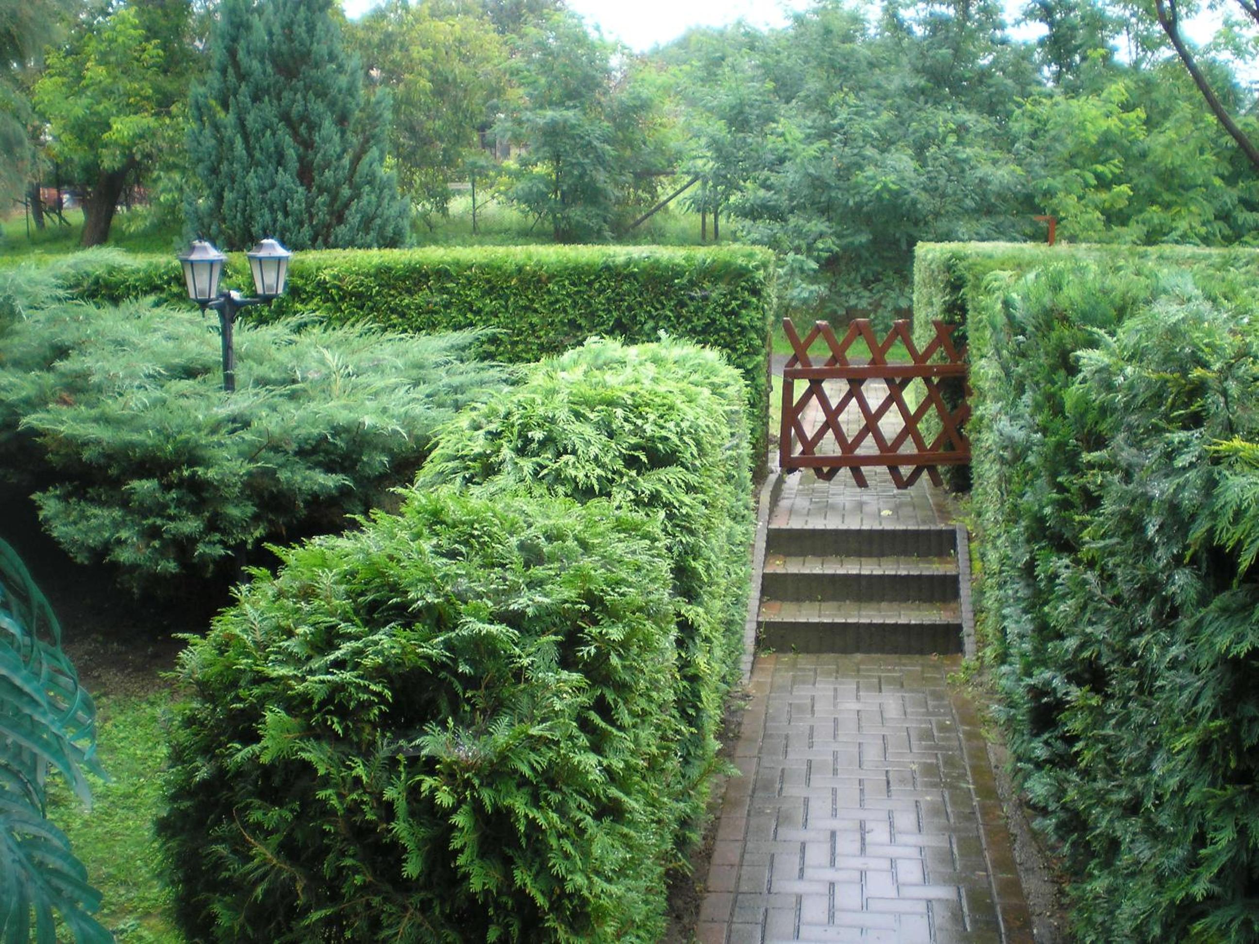 Photo 25