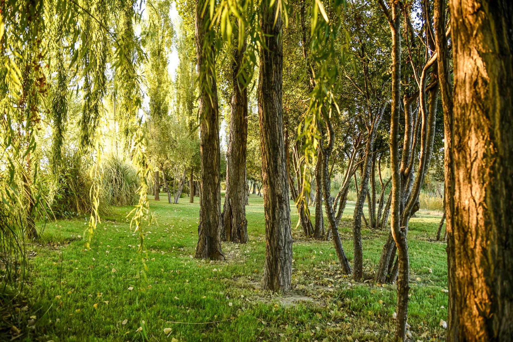 Finca La Escondida San Rafael