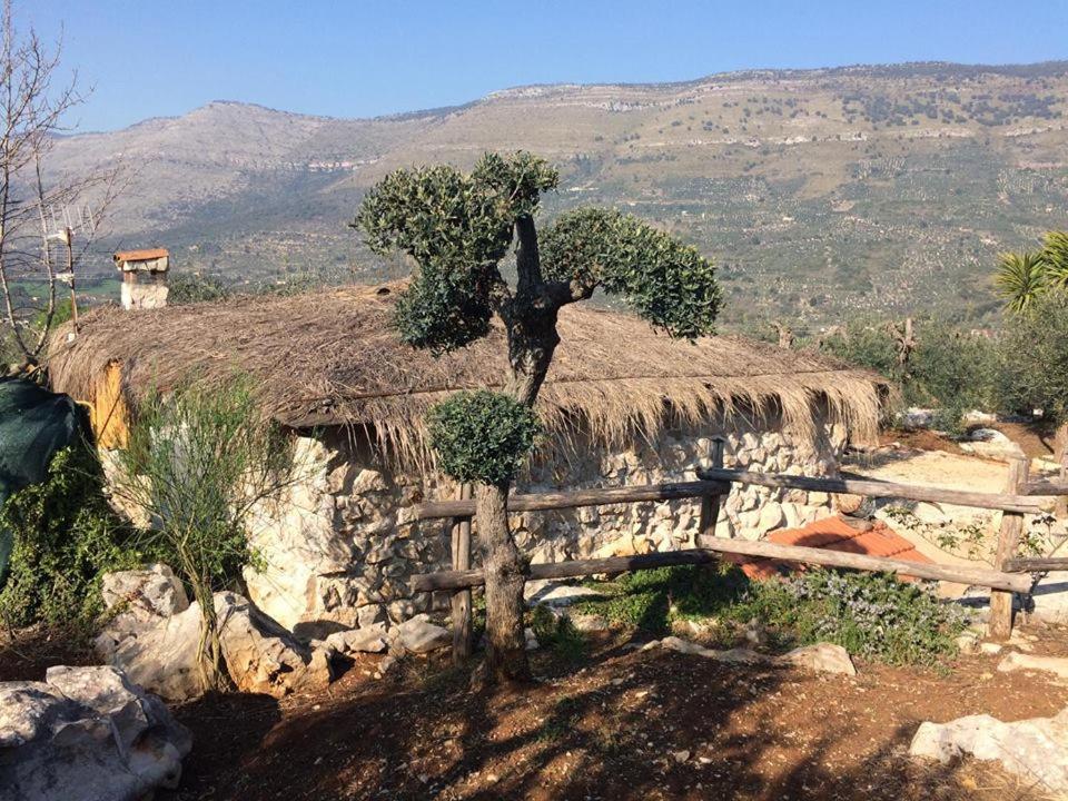 Photo 26