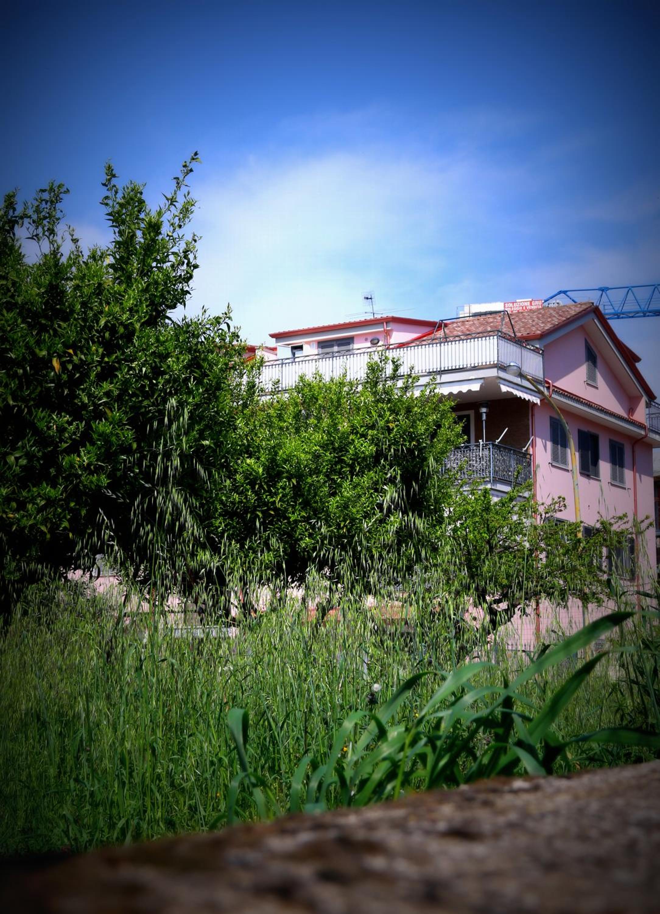 Photo 20