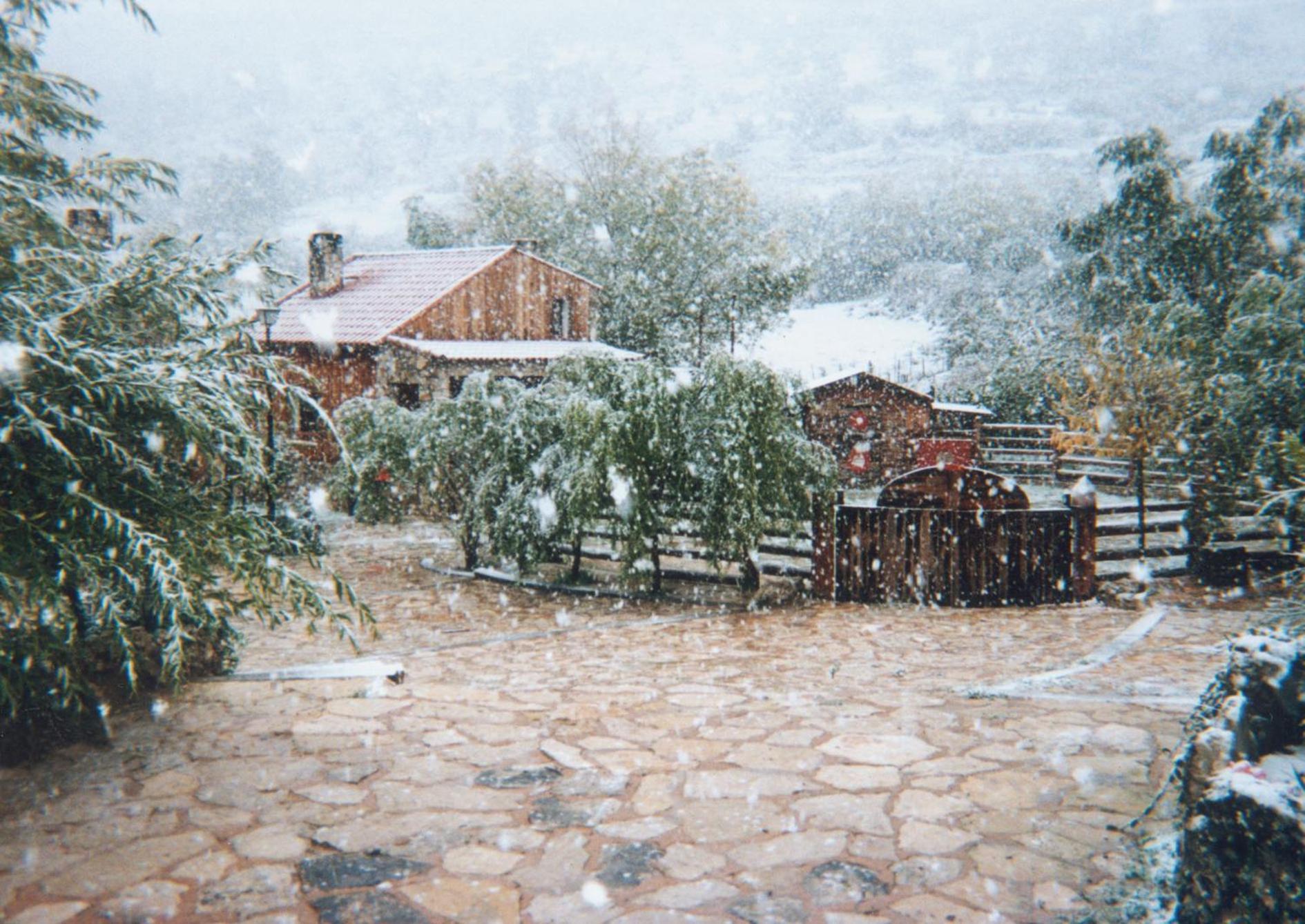 Photo 14