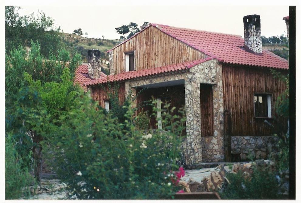 Photo 28