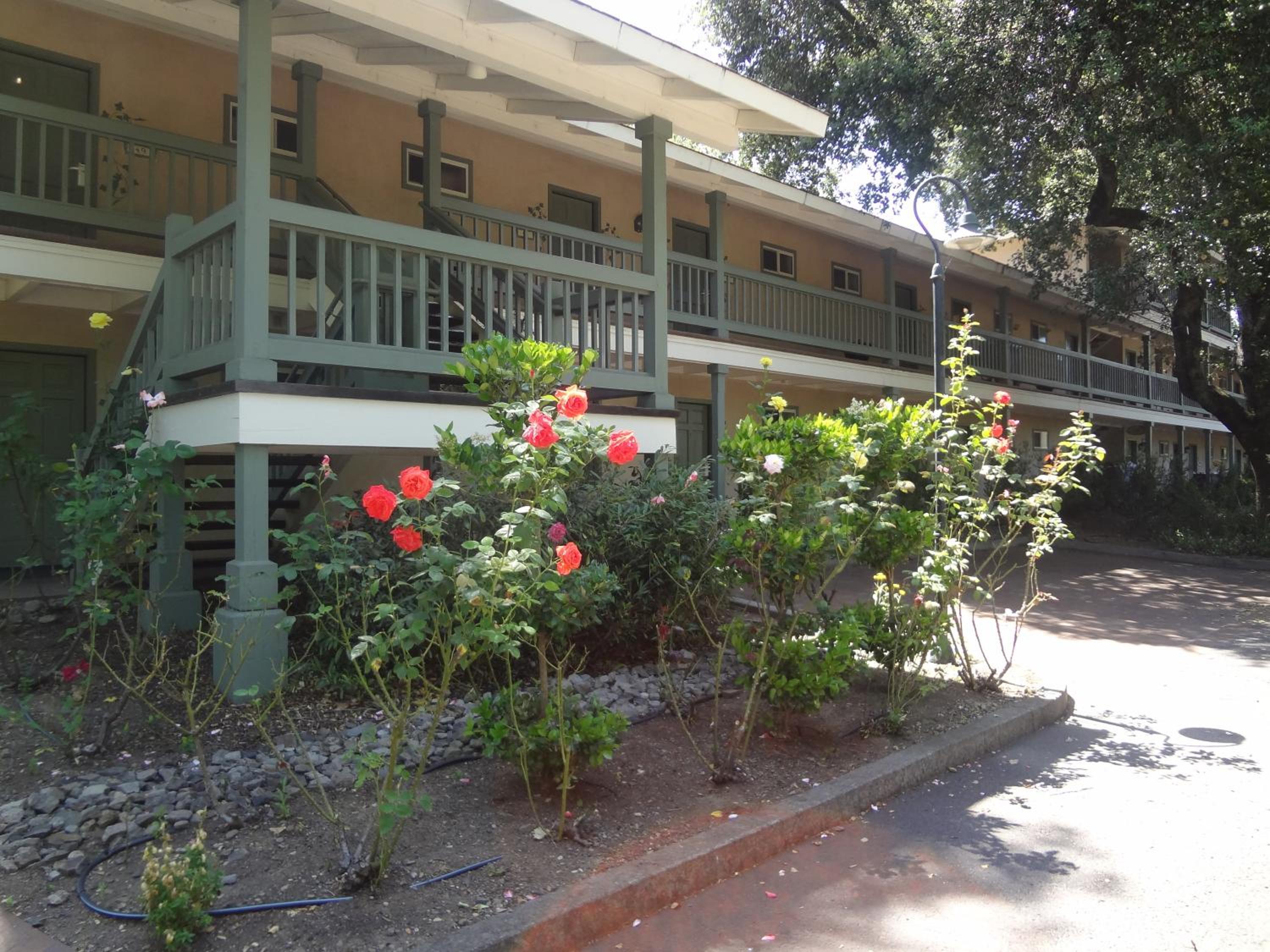 El Bonita Motel - Property Image 7