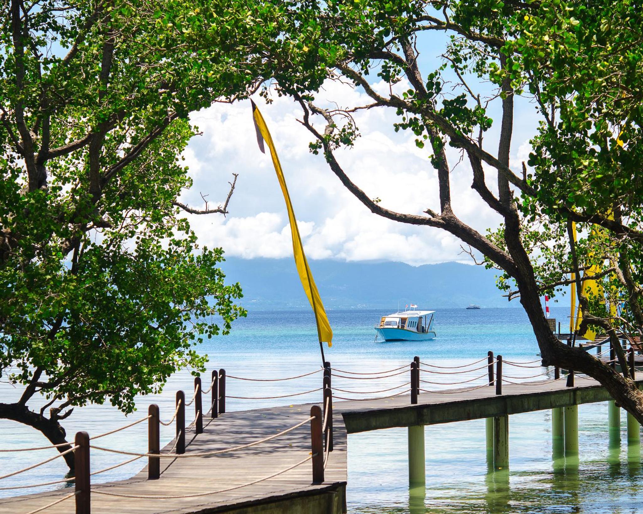 Photo 23