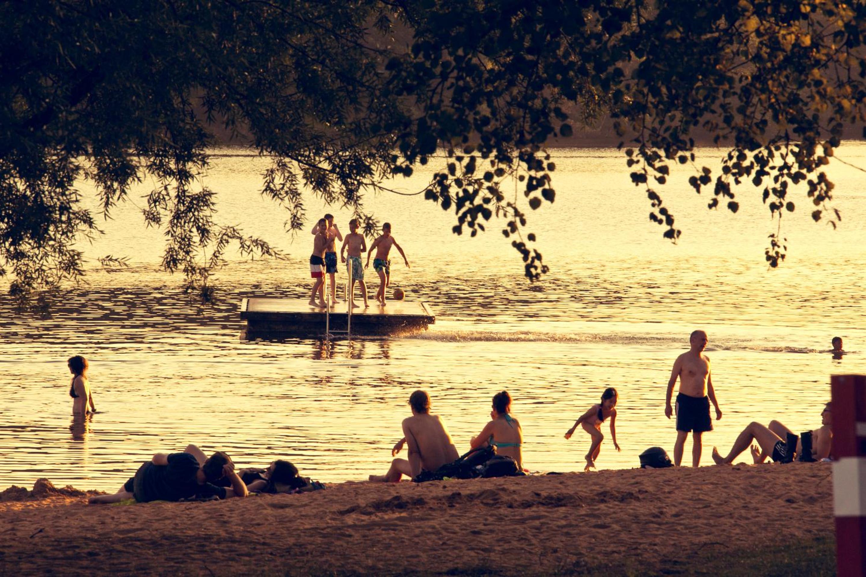 Photo 10