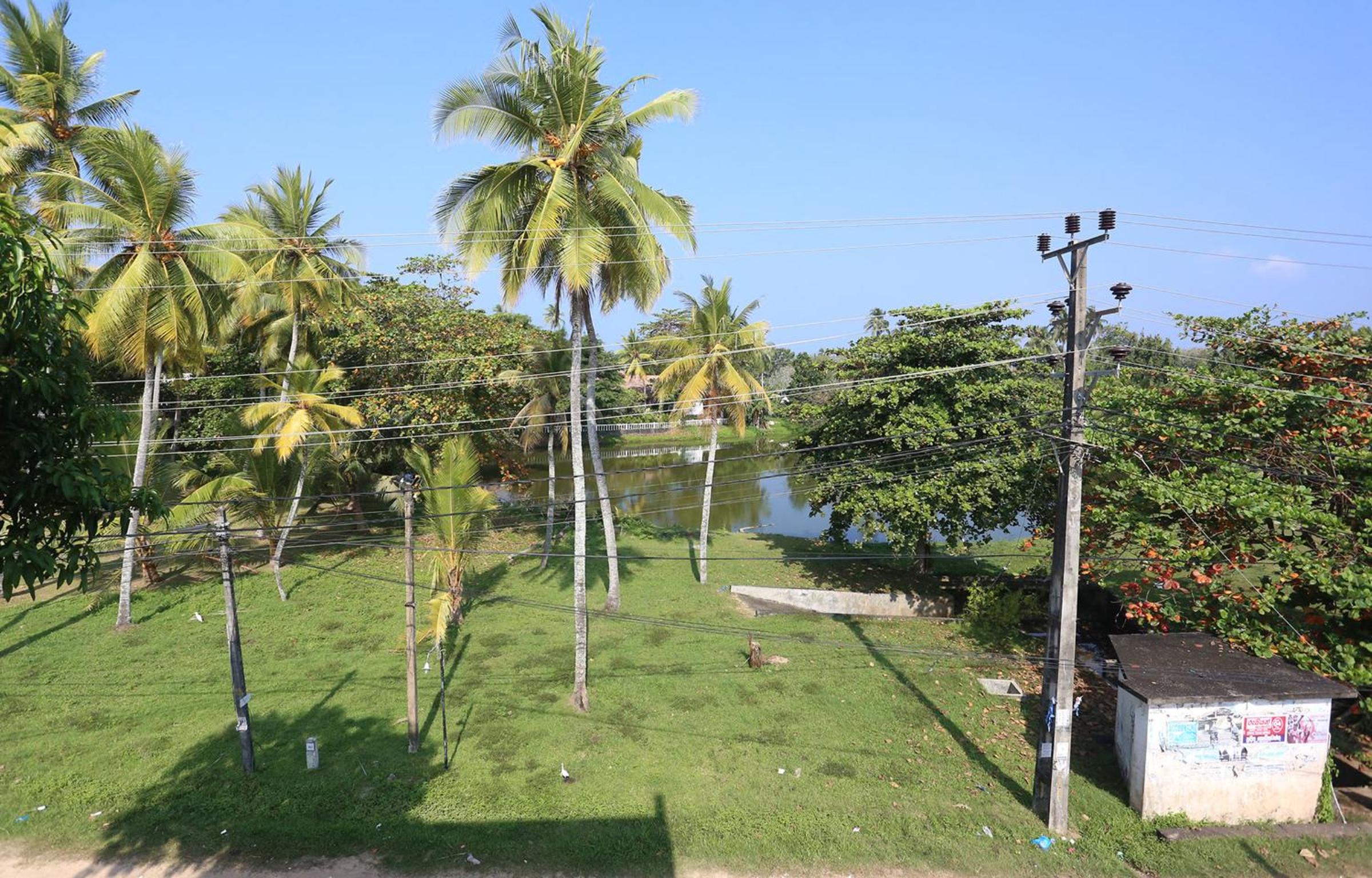 Photo 44