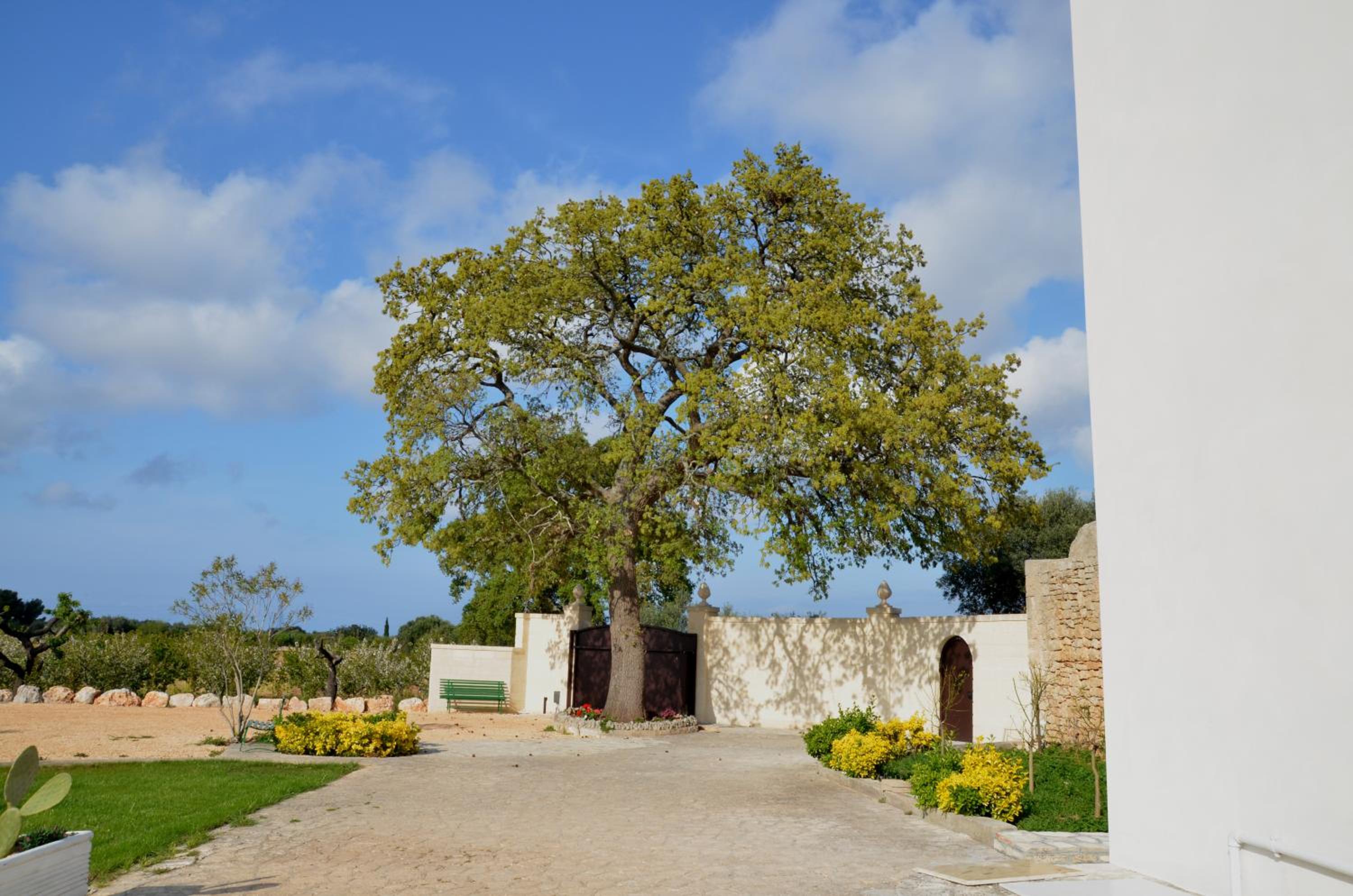 Masseria Poli Country House