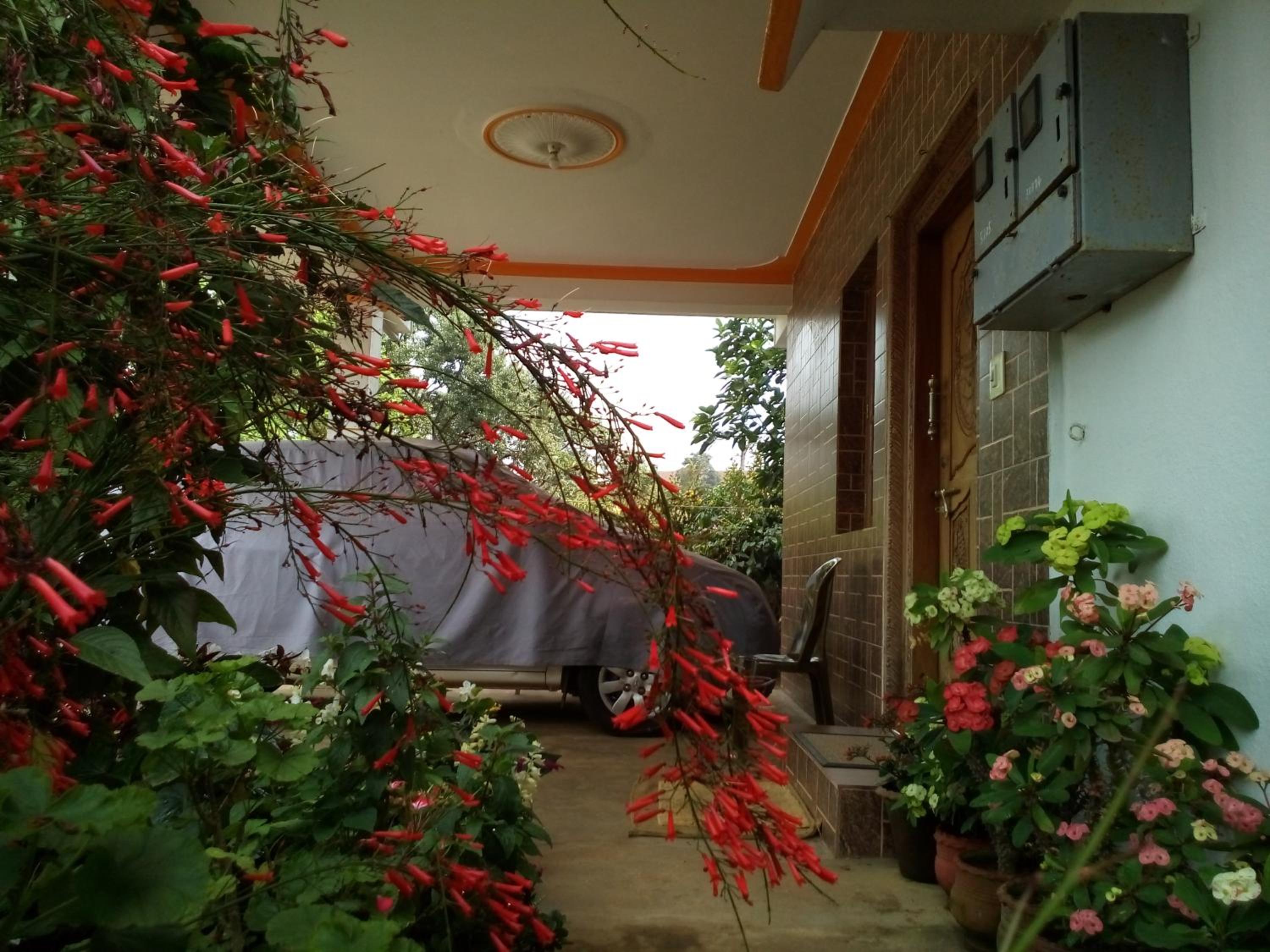 Photo 19