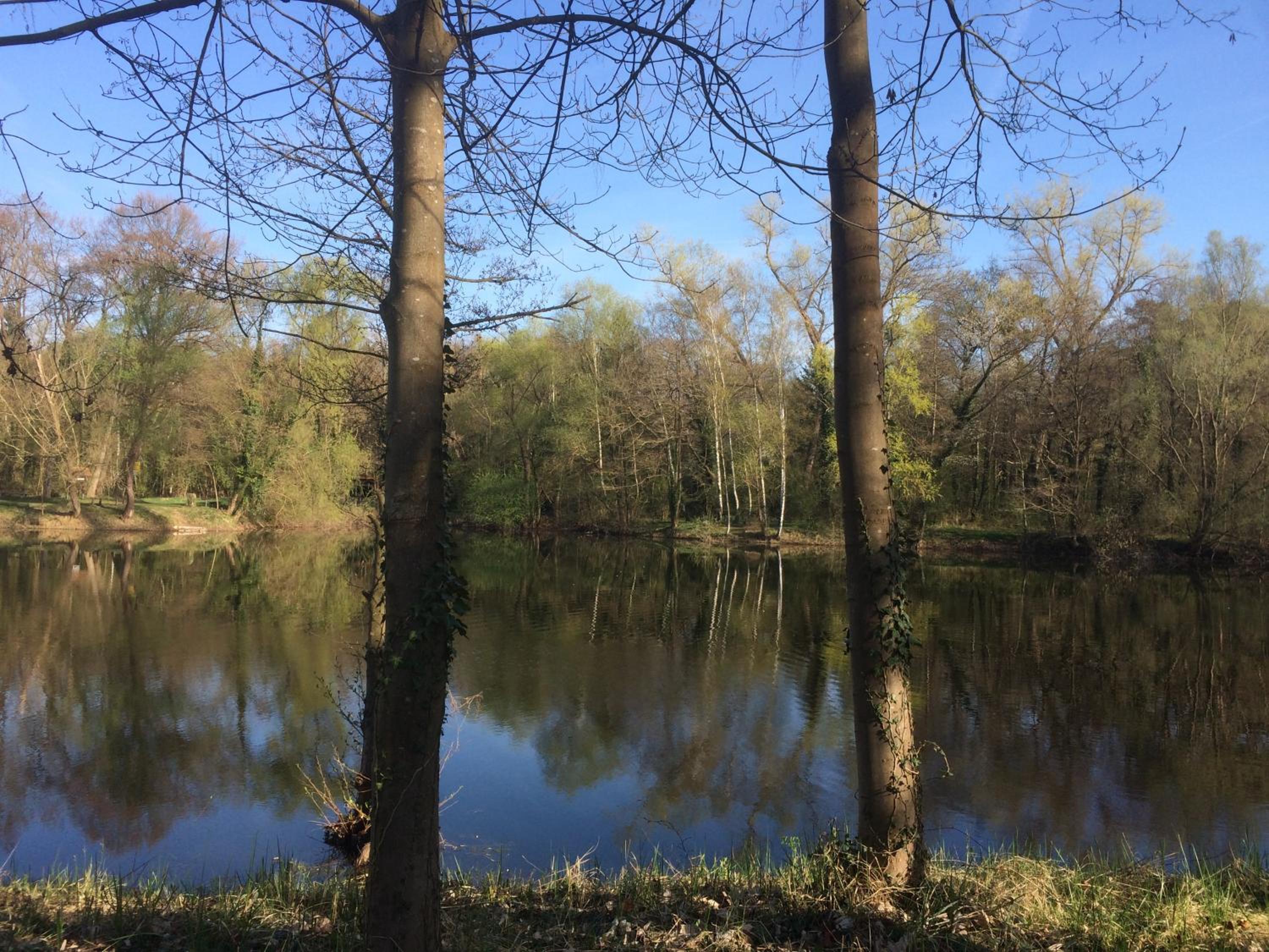 Alte Heimat