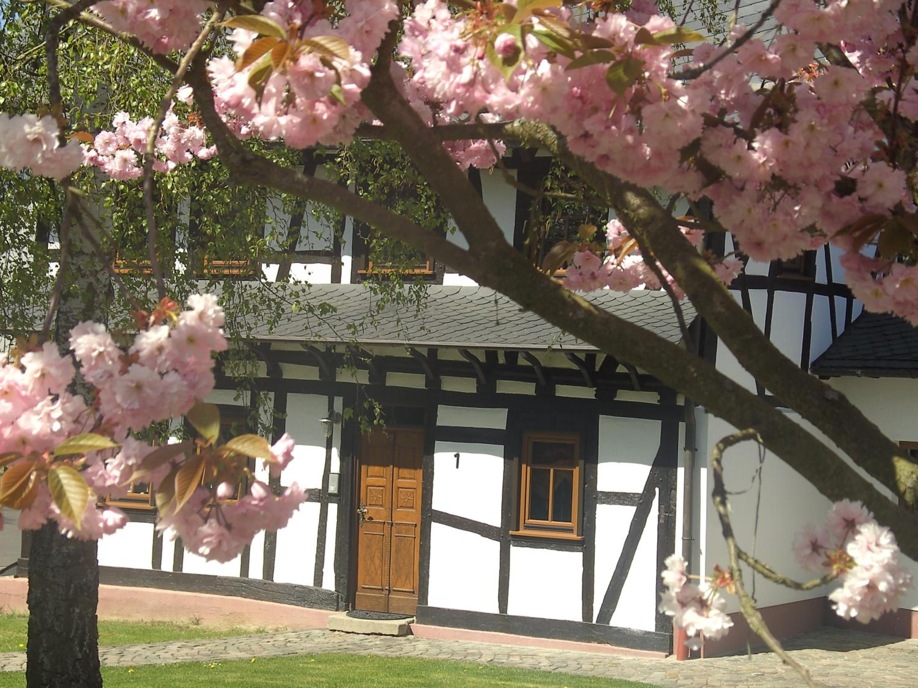 Ferienhaus Schmitt