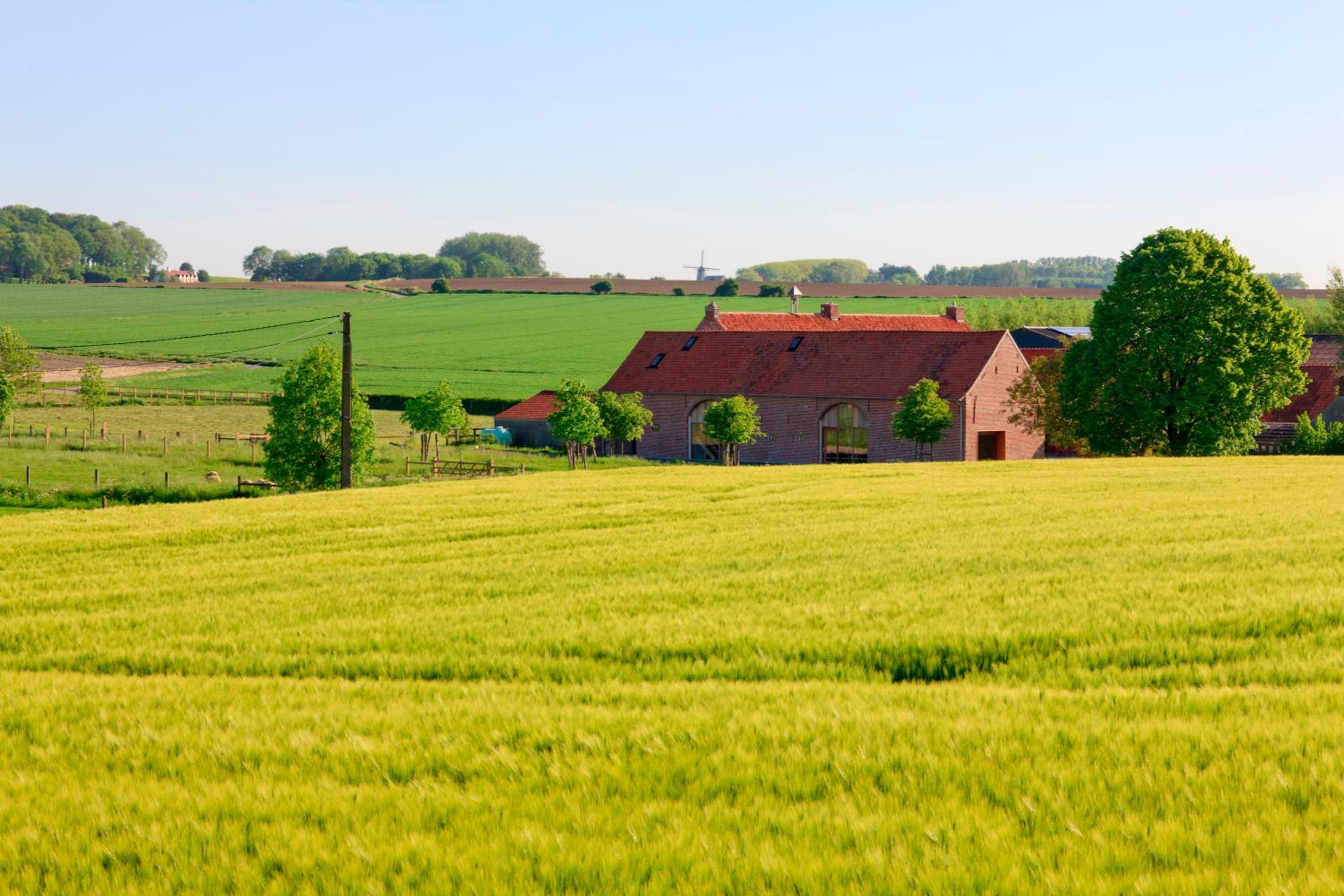 B&B De Deugdzonde view 3