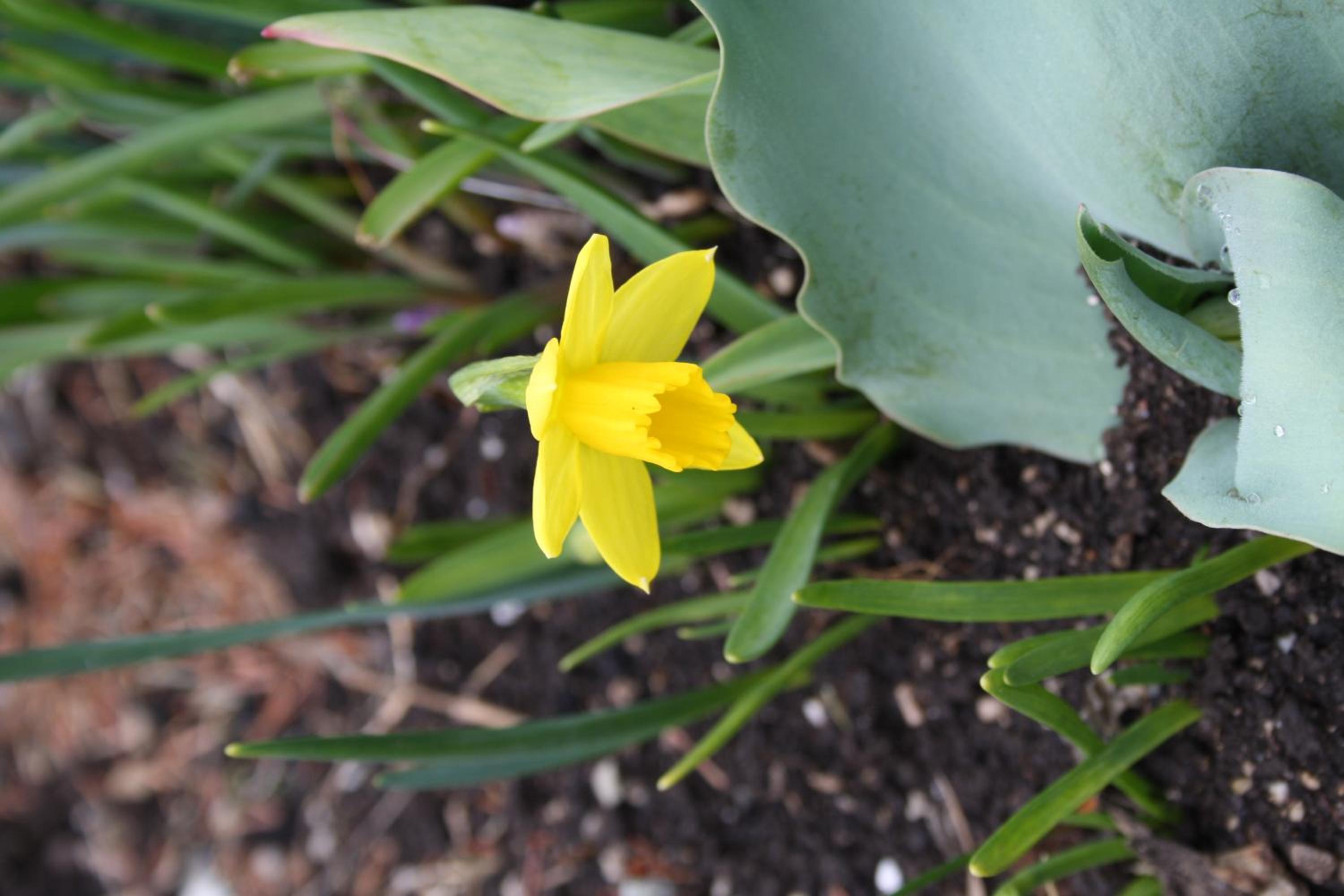 Photo 48