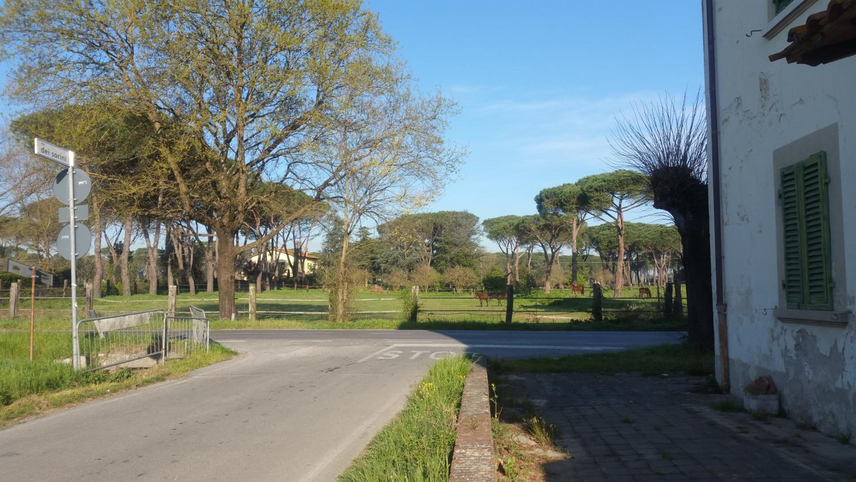 Ulivo Della Querce view 5