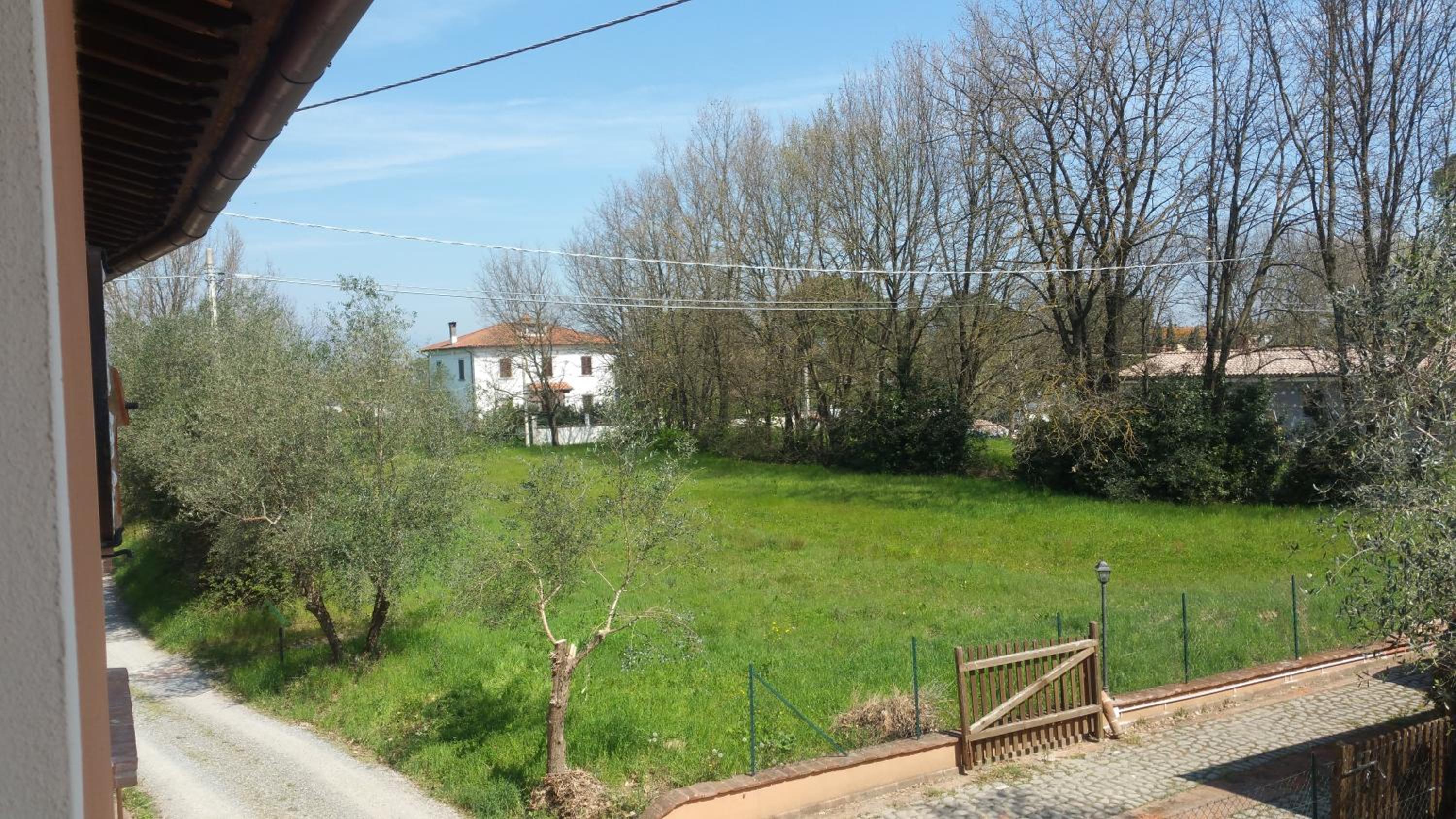 Ulivo Della Querce view 2