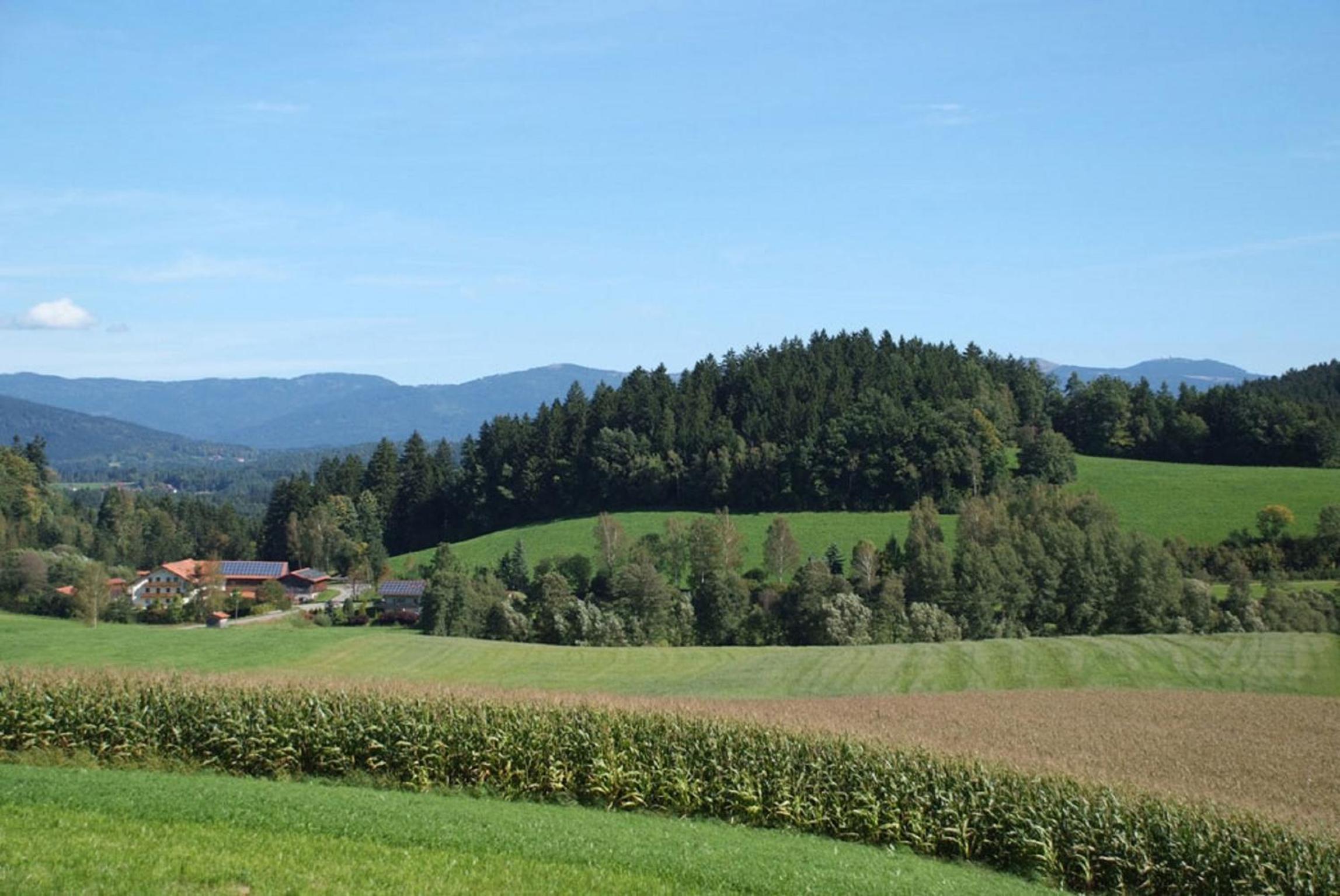 Ferienbauernhof Mehlbach