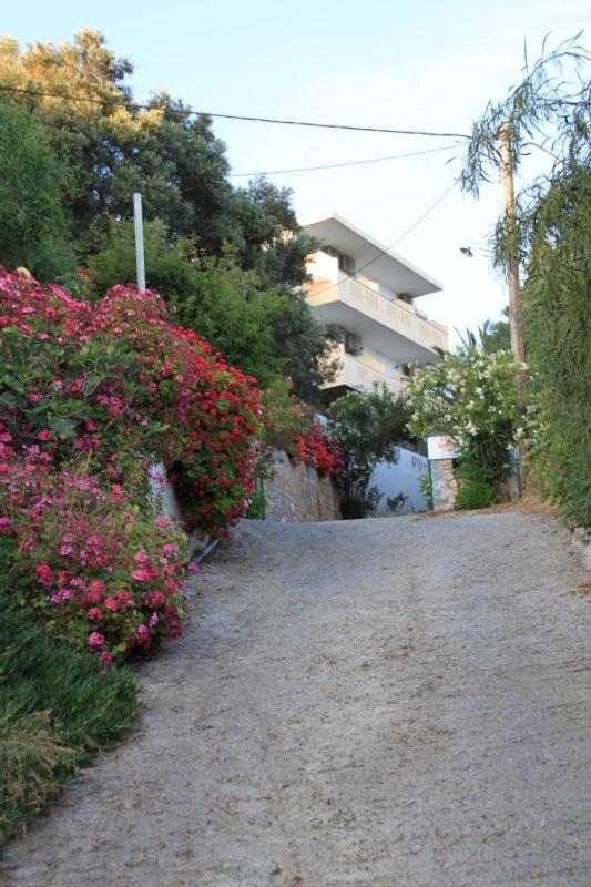 Oasis Studios