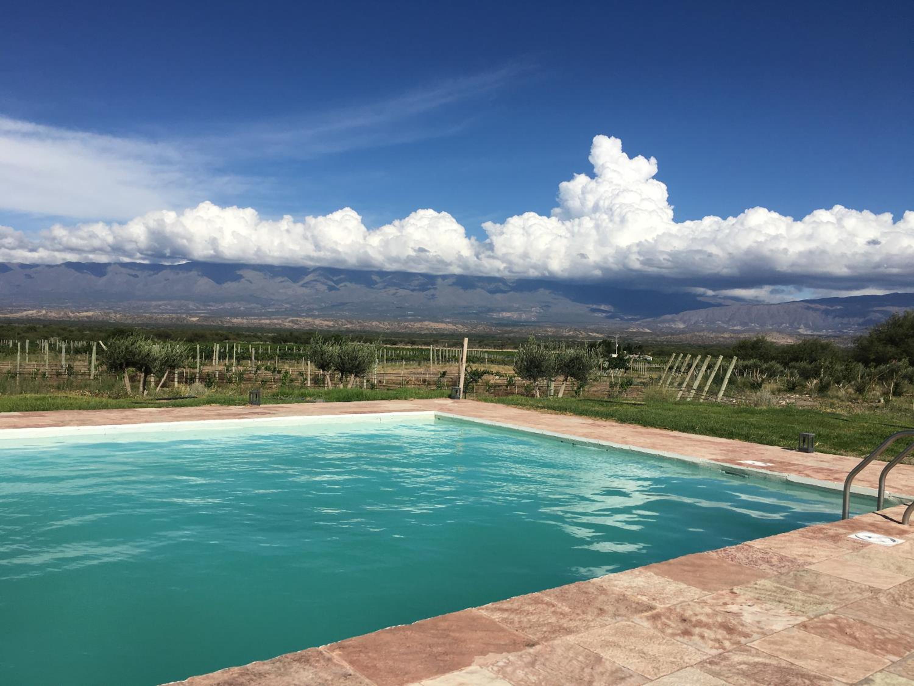 Finca Albarossa