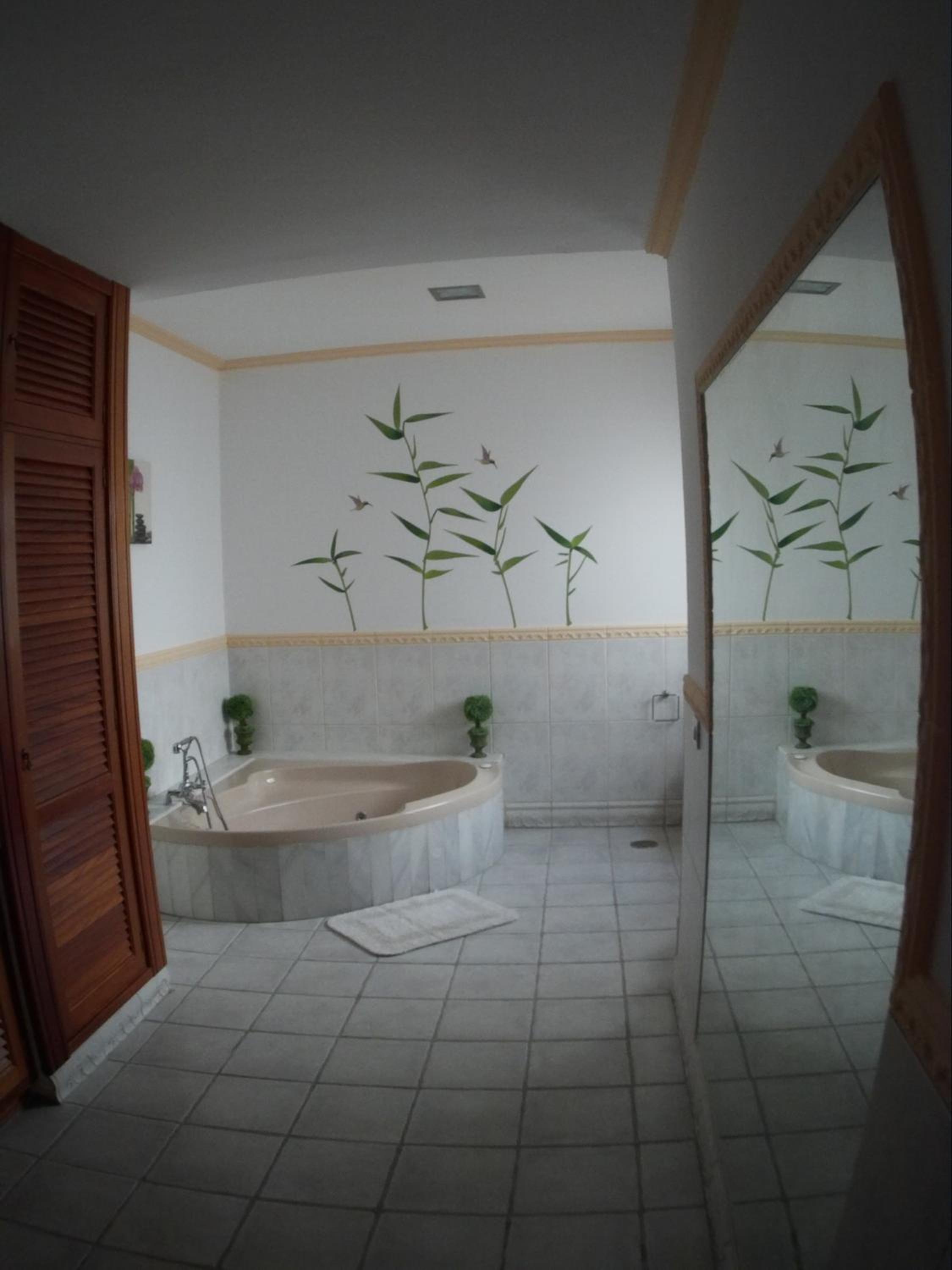 Photo 48