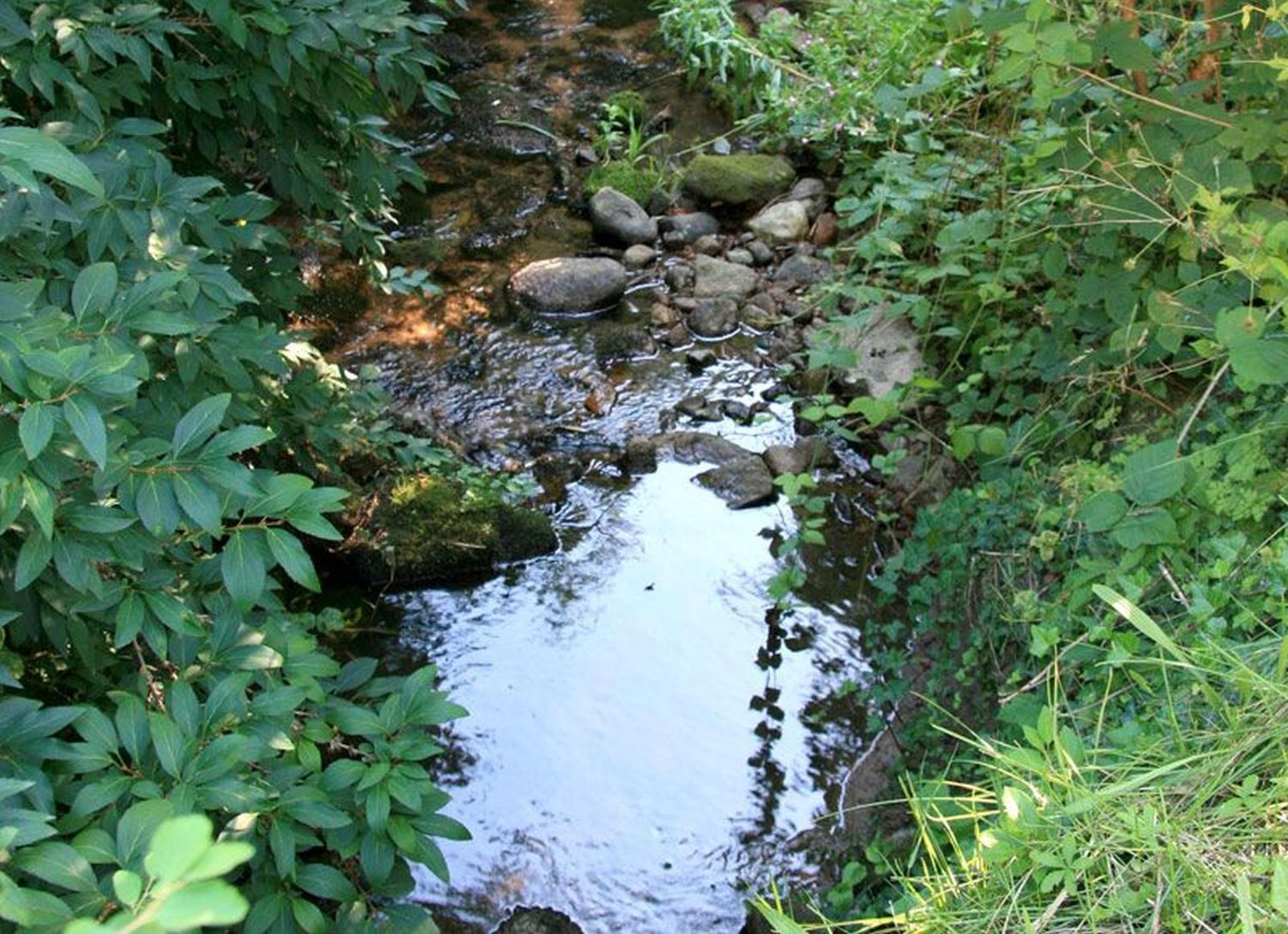 Photo 30