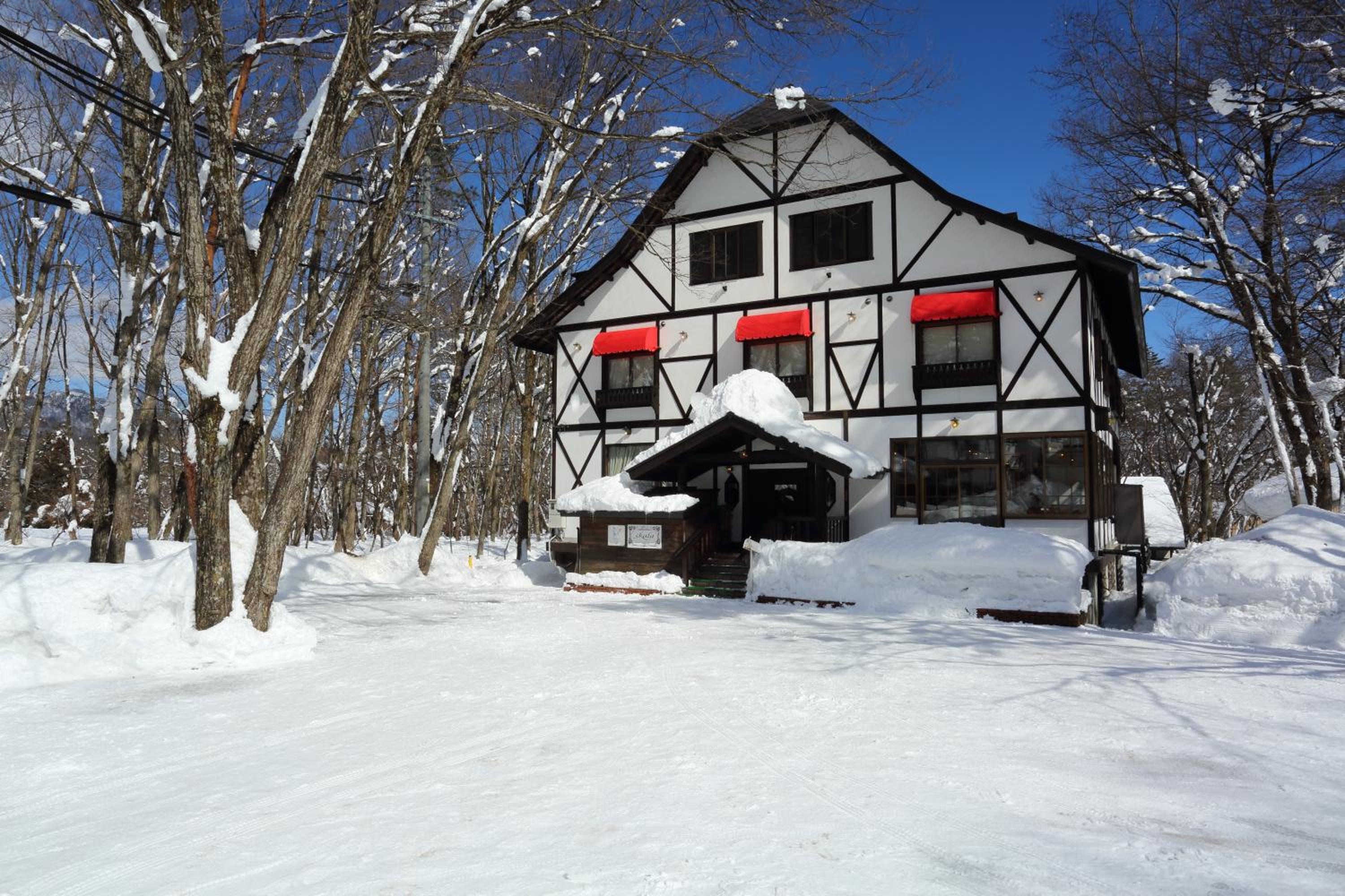 Hakuba Skala Inn view 5