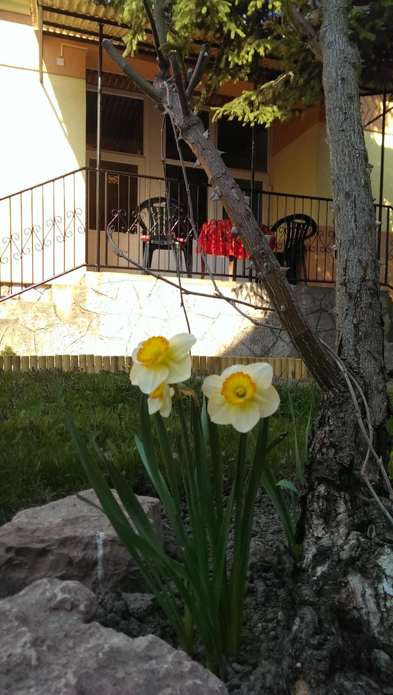 Photo 24