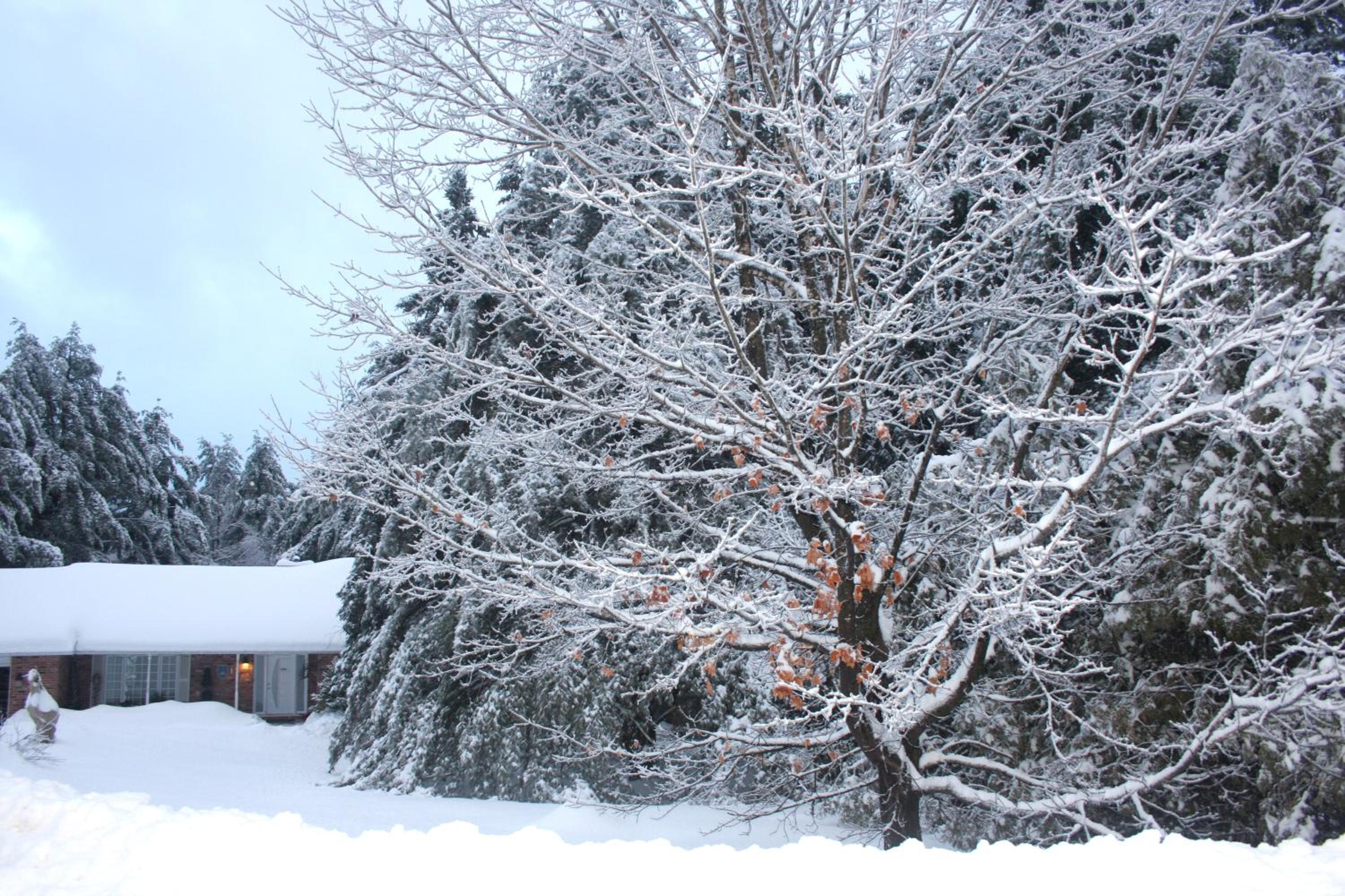 Andante Gîte Bed and Breakfast