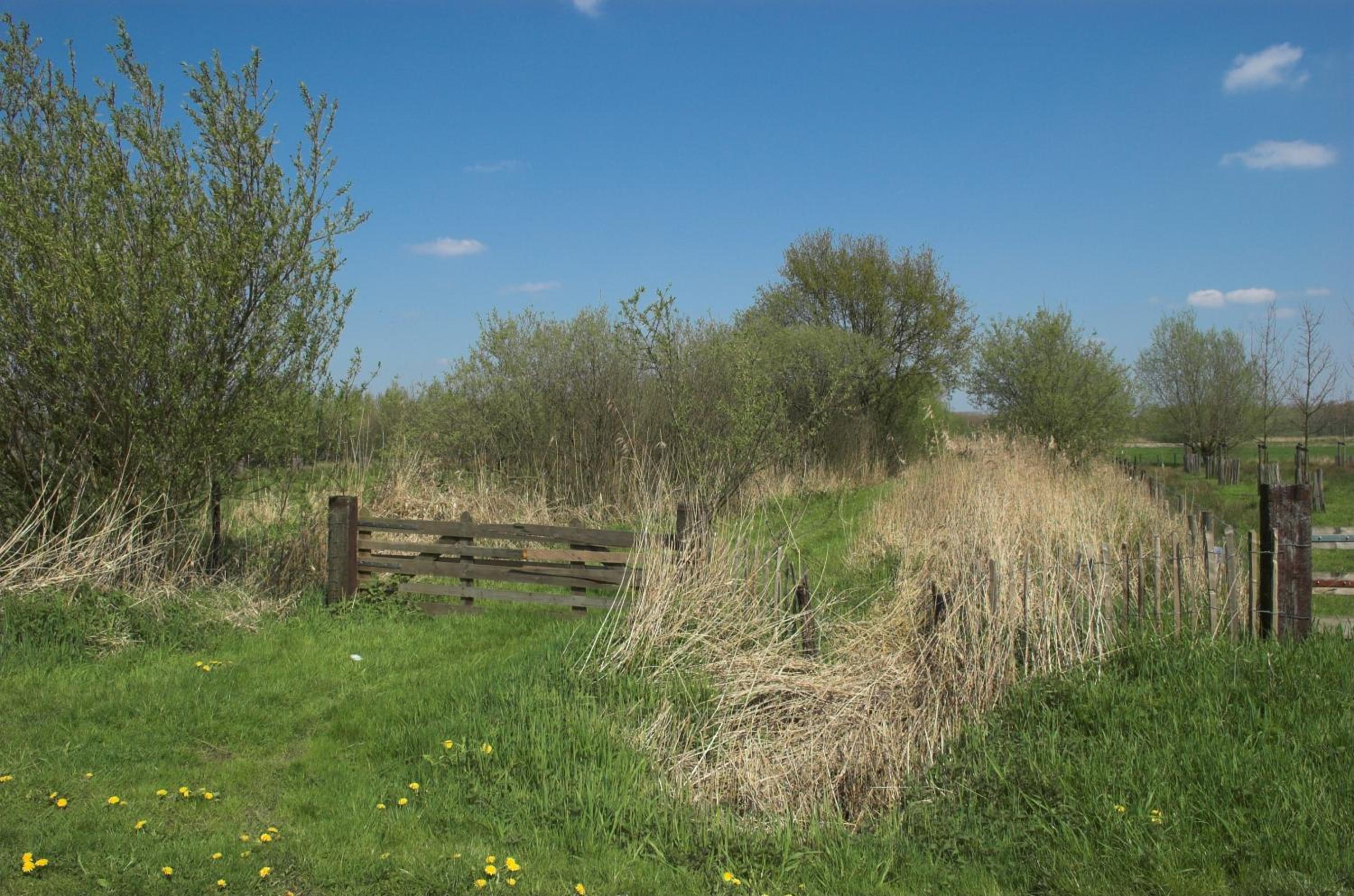 Photo 43