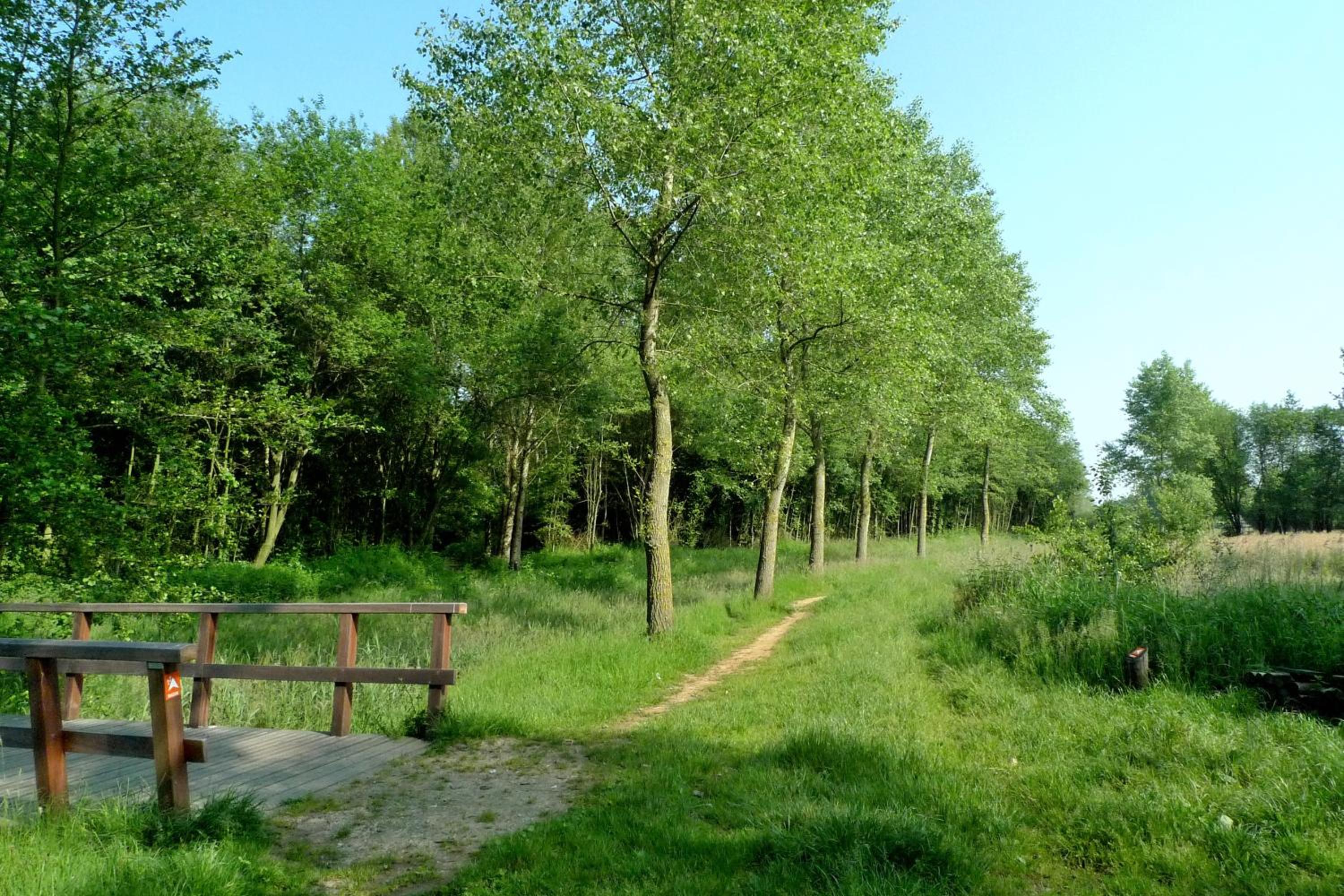 Photo 44
