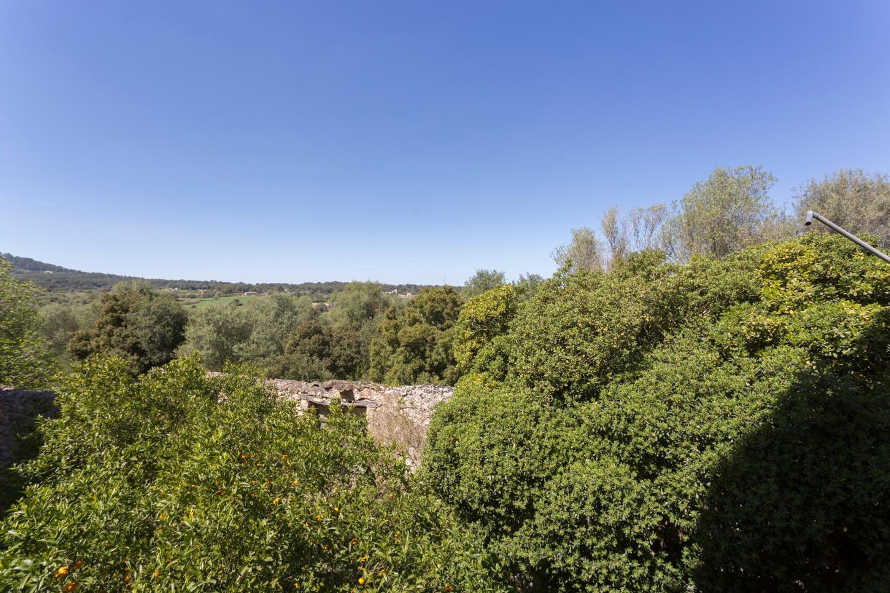 Agroturismo Son Sant Andreu