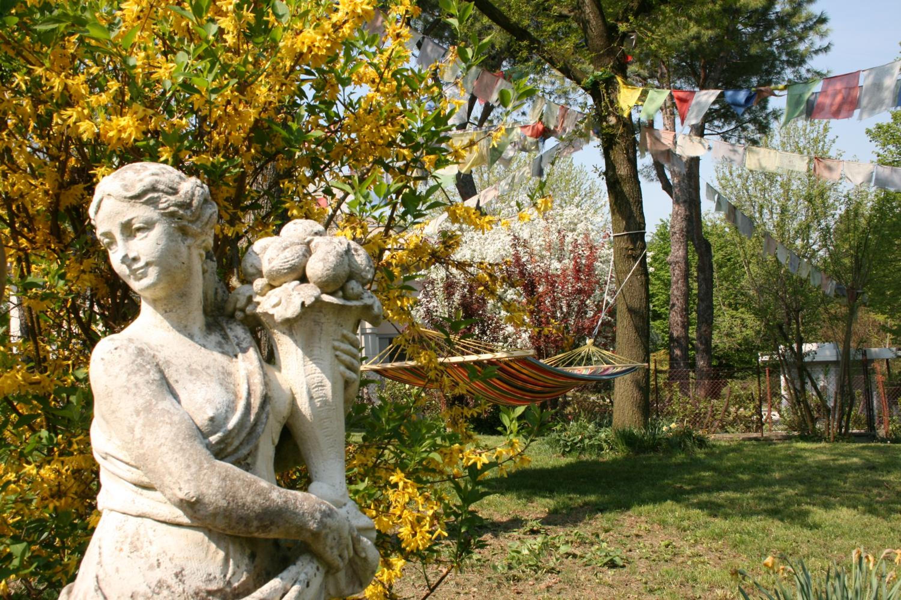 Butterfly B&B photo 5