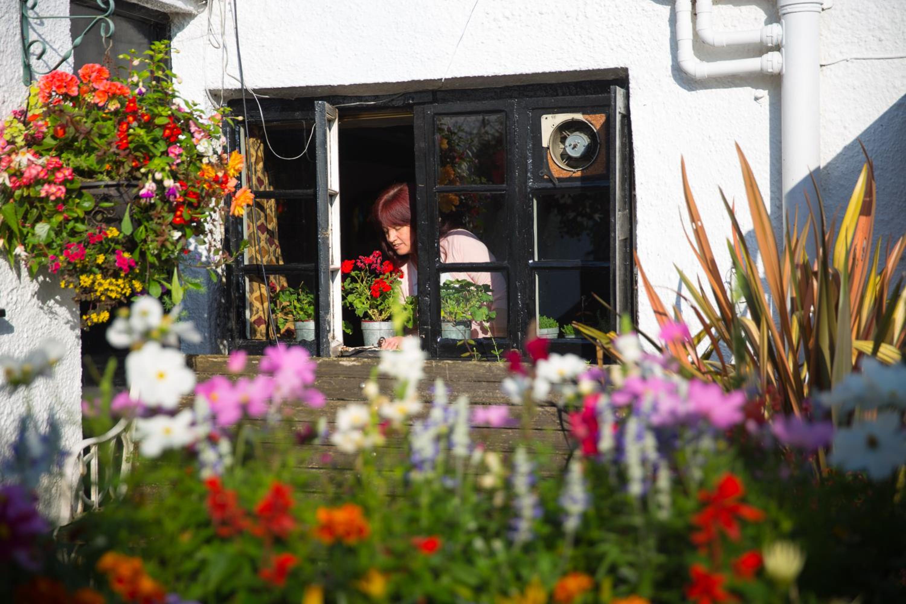 The Cott Inn
