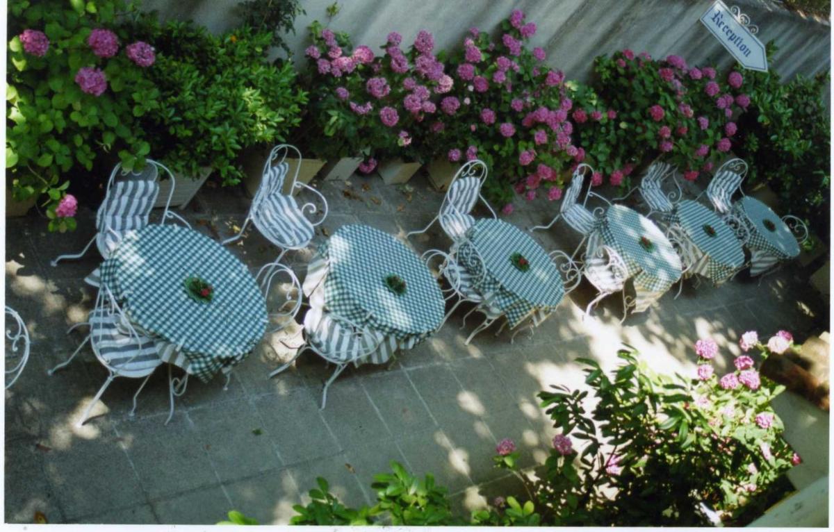 garden