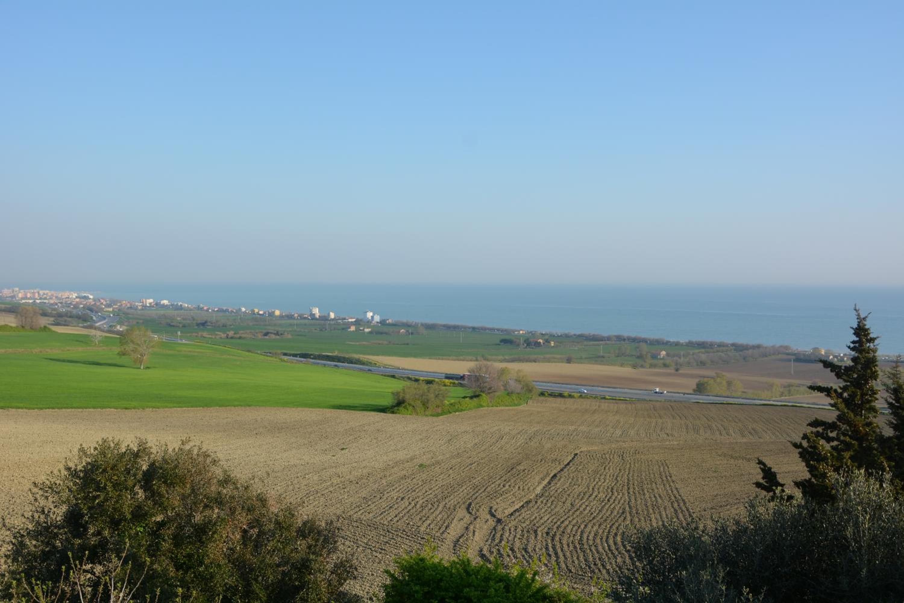 Photo 29