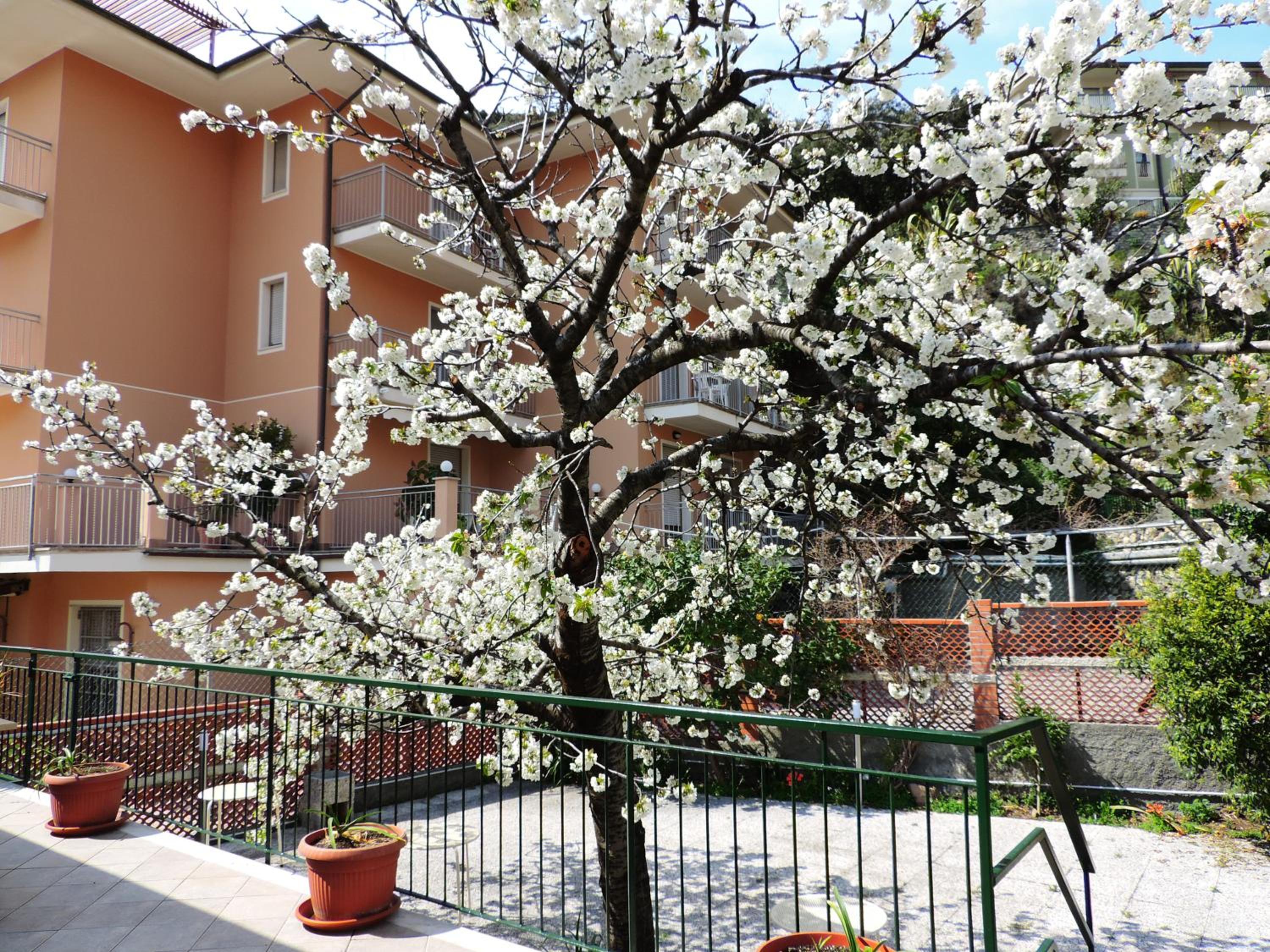 Villa Delle Ciliegie